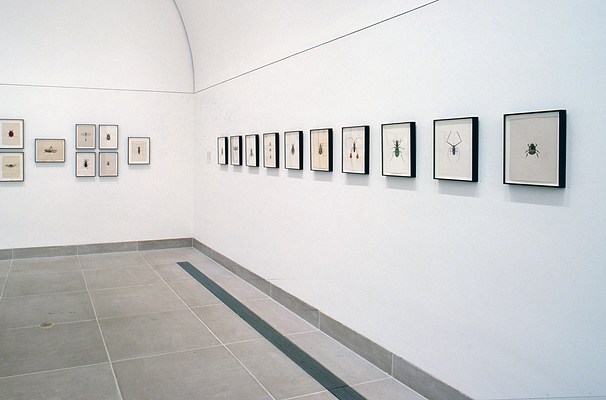 Image 1 of 8