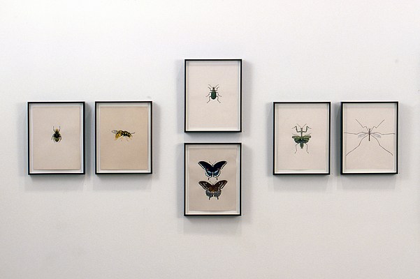 Image 3 of 8