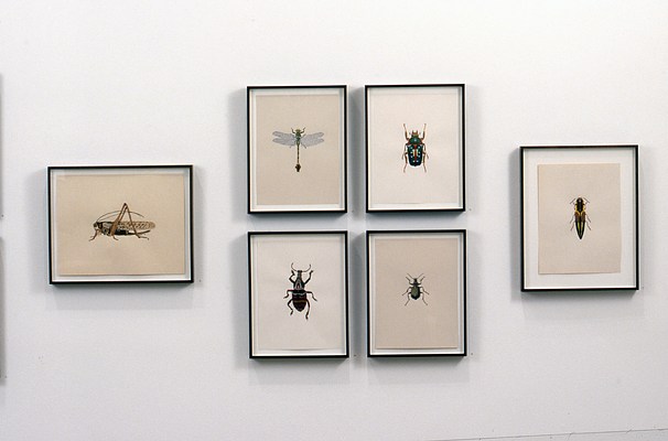 Image 2 of 8