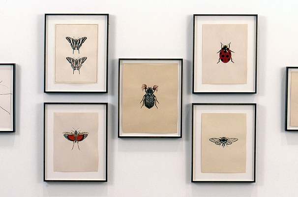 Image 4 of 8
