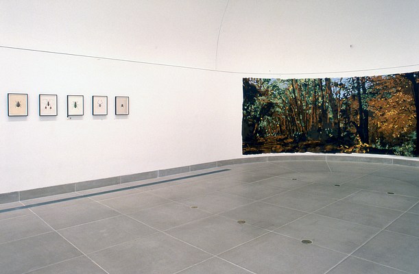 Image 8 of 8
