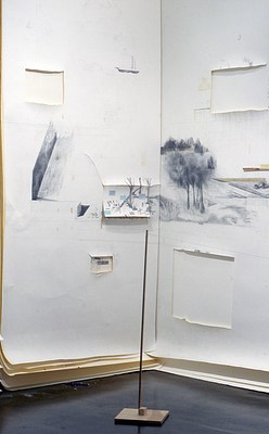 Image 13 of 24