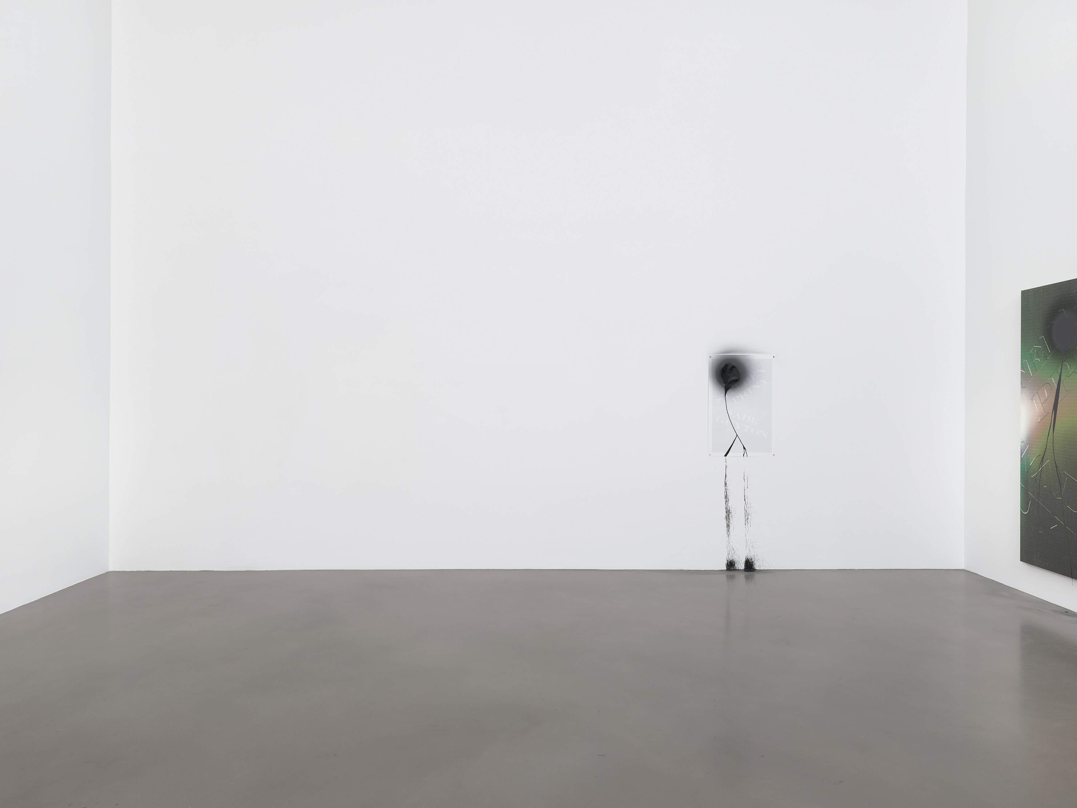 Wade Guyton, Stephen Prina, Untitled at Petzel, photo 2