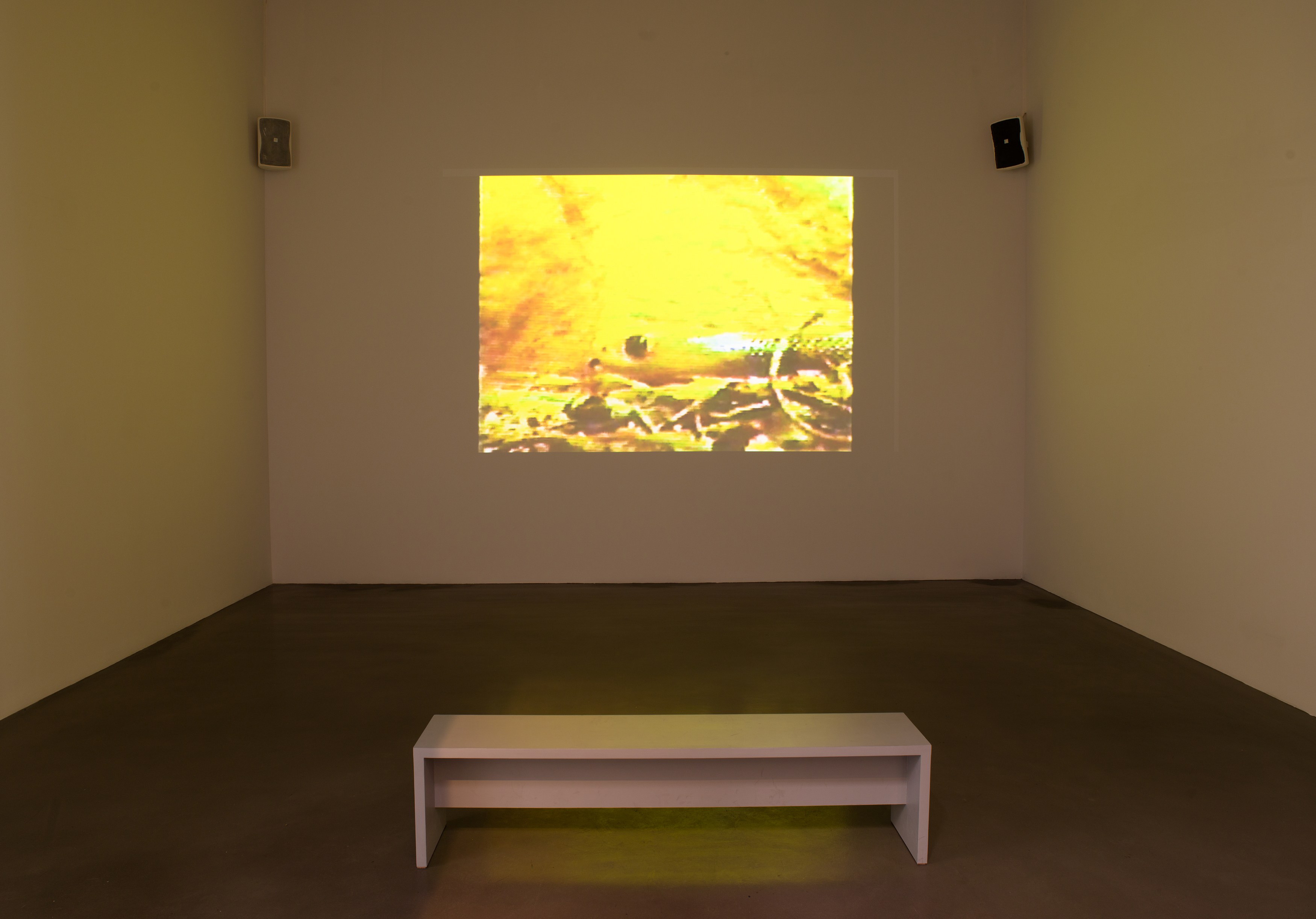 We Need To Talk...Artists and the public respond to present conditions in America, We Need To Talk...Artists and the public respond to present conditions in America at Petzel, photo 16