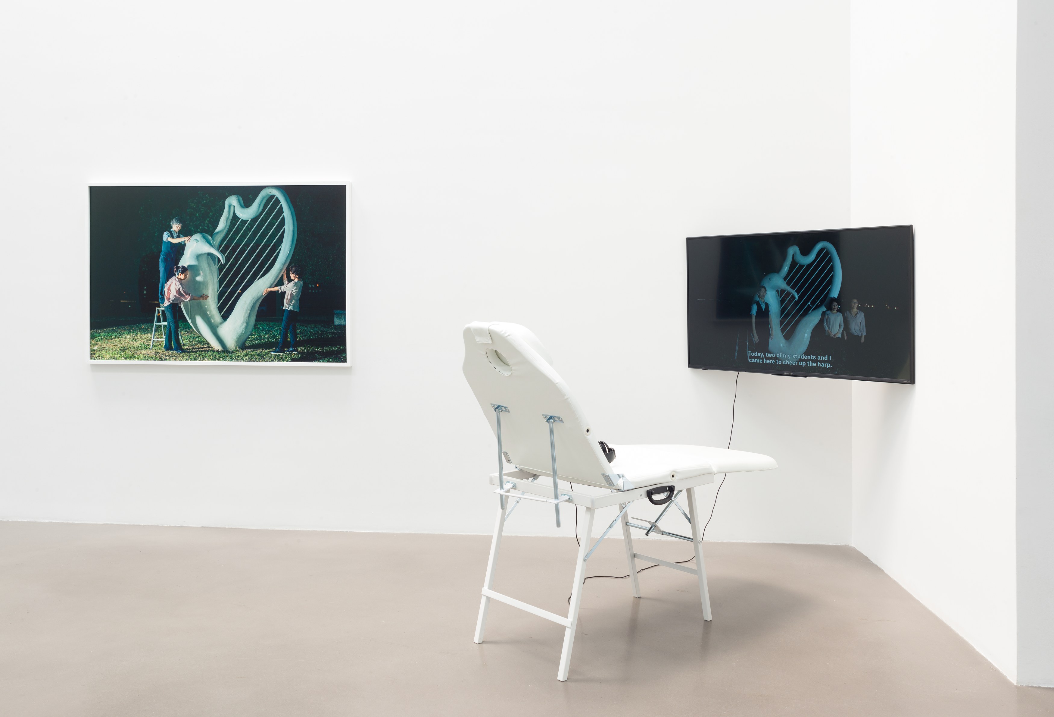 Christian Jankowski, 2017 at Petzel, photo 3