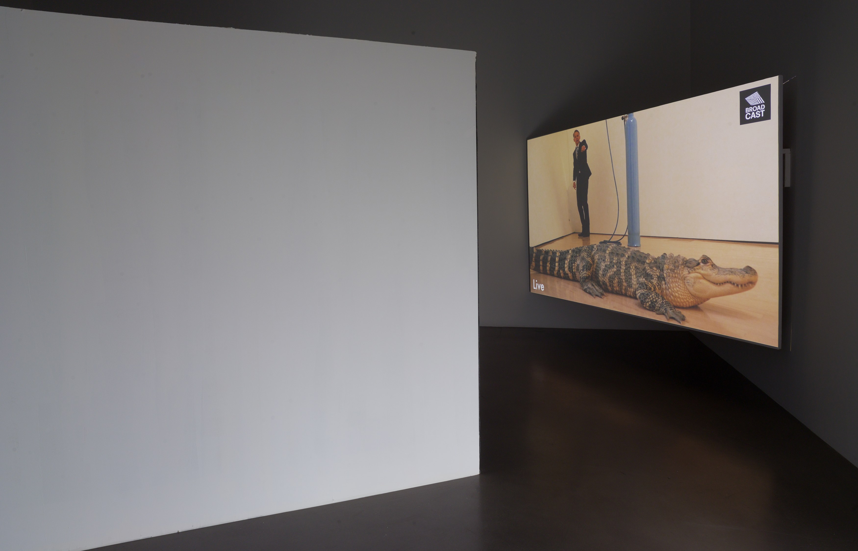 Christian Jankowski, 2017 at Petzel, photo 6
