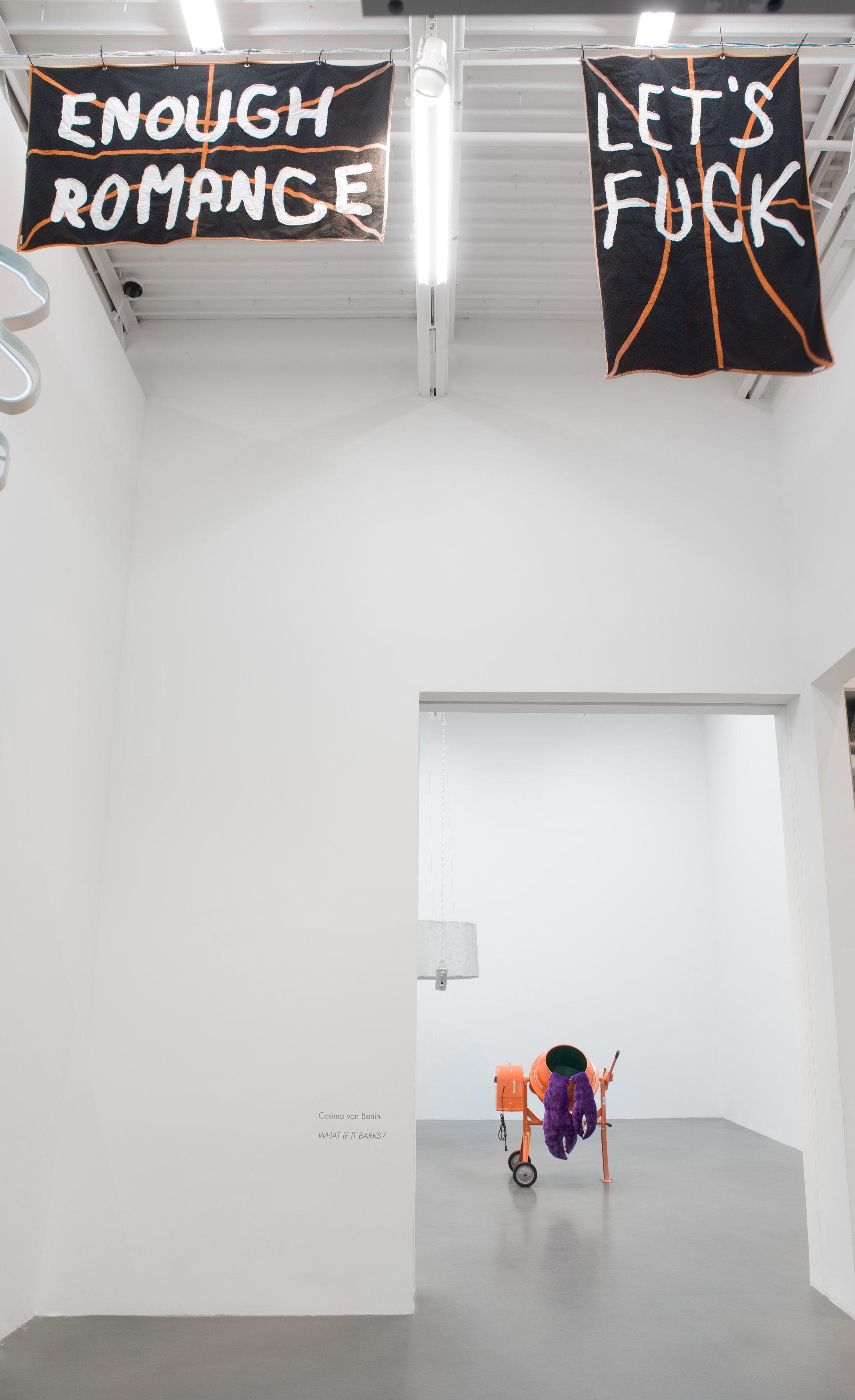 Cosima von Bonin, WHAT IF IT BARKS? Featuring AUTHORITY PURÉE at Petzel, photo 23