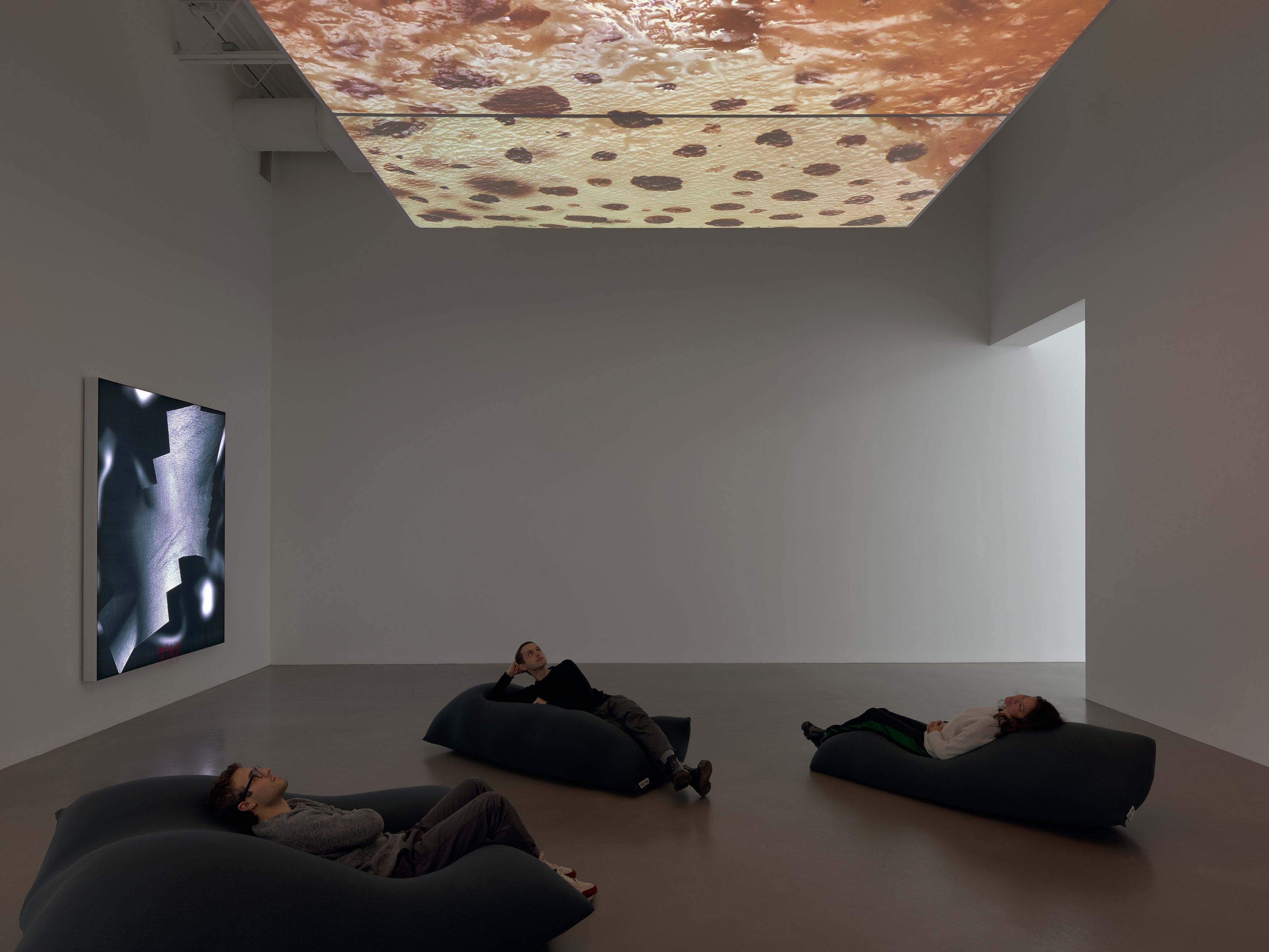 Seth Price, Hell Has Everything at Petzel, photo 6