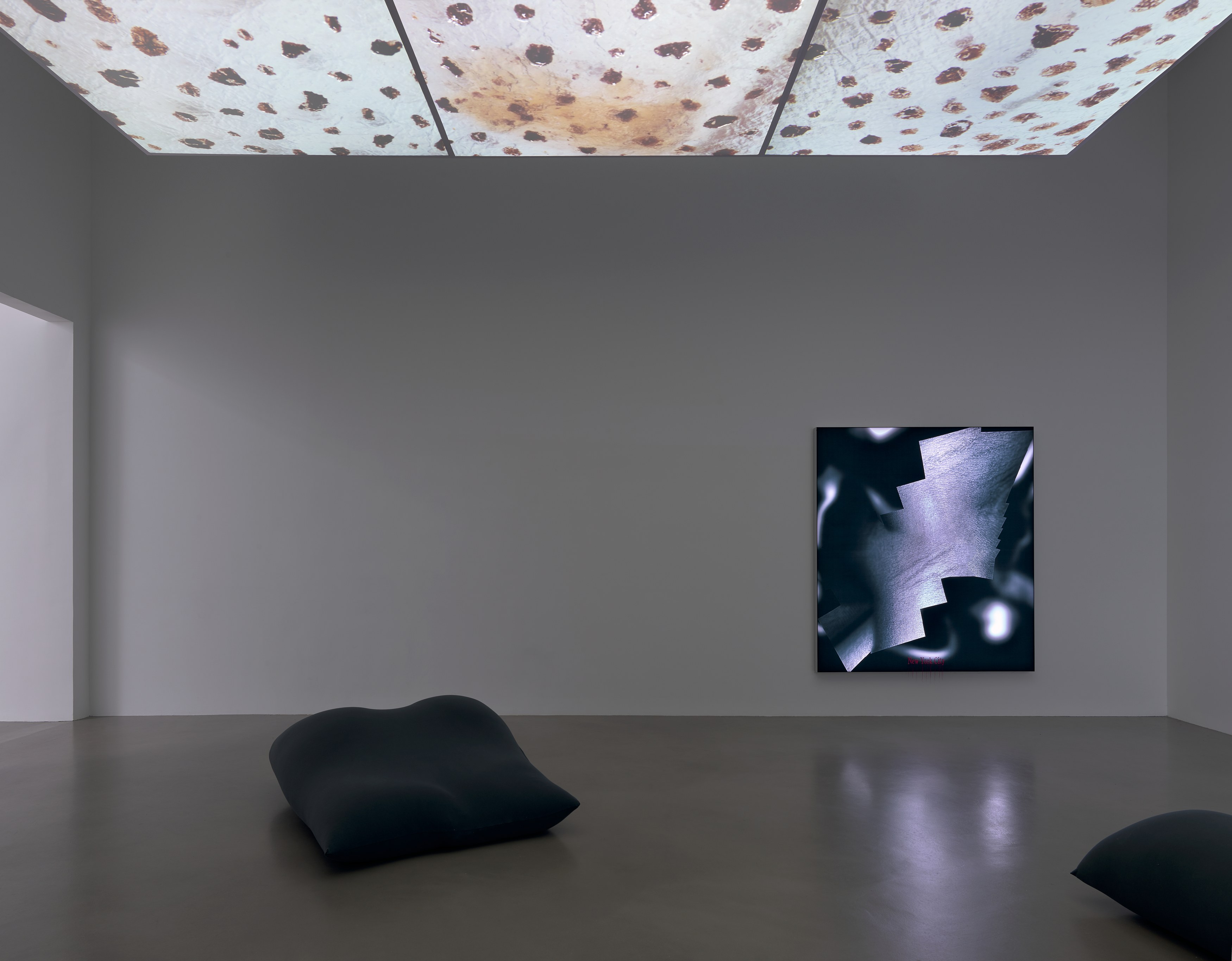 Seth Price, Hell Has Everything at Petzel, photo 7