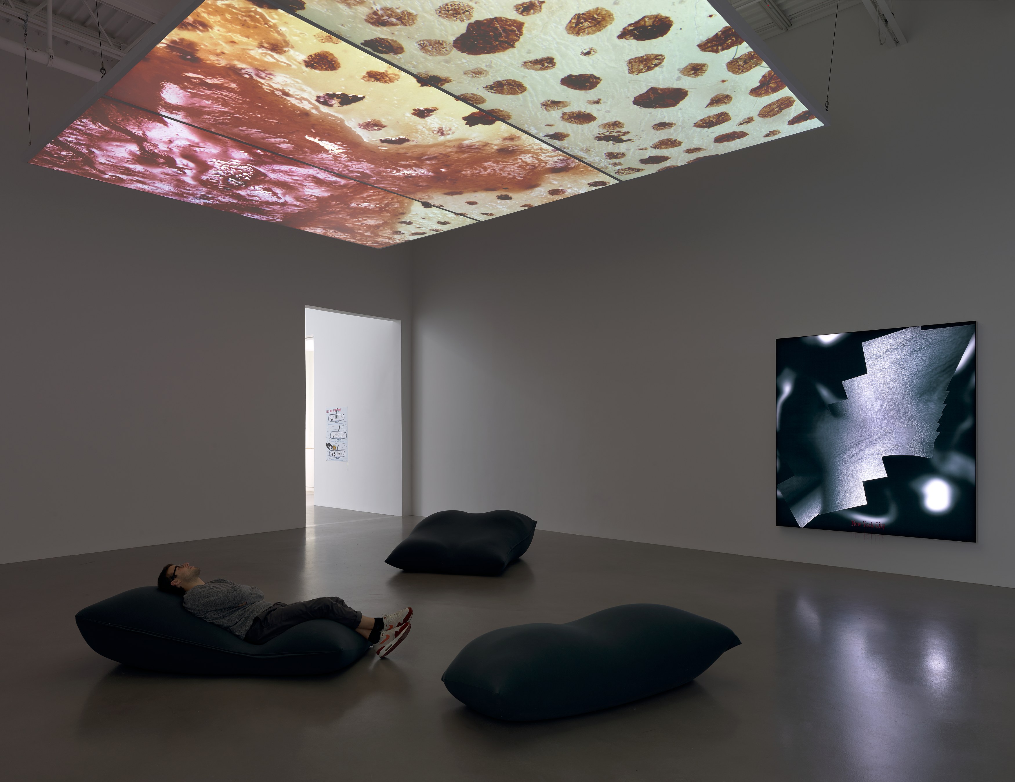 Seth Price, Hell Has Everything at Petzel, photo 8