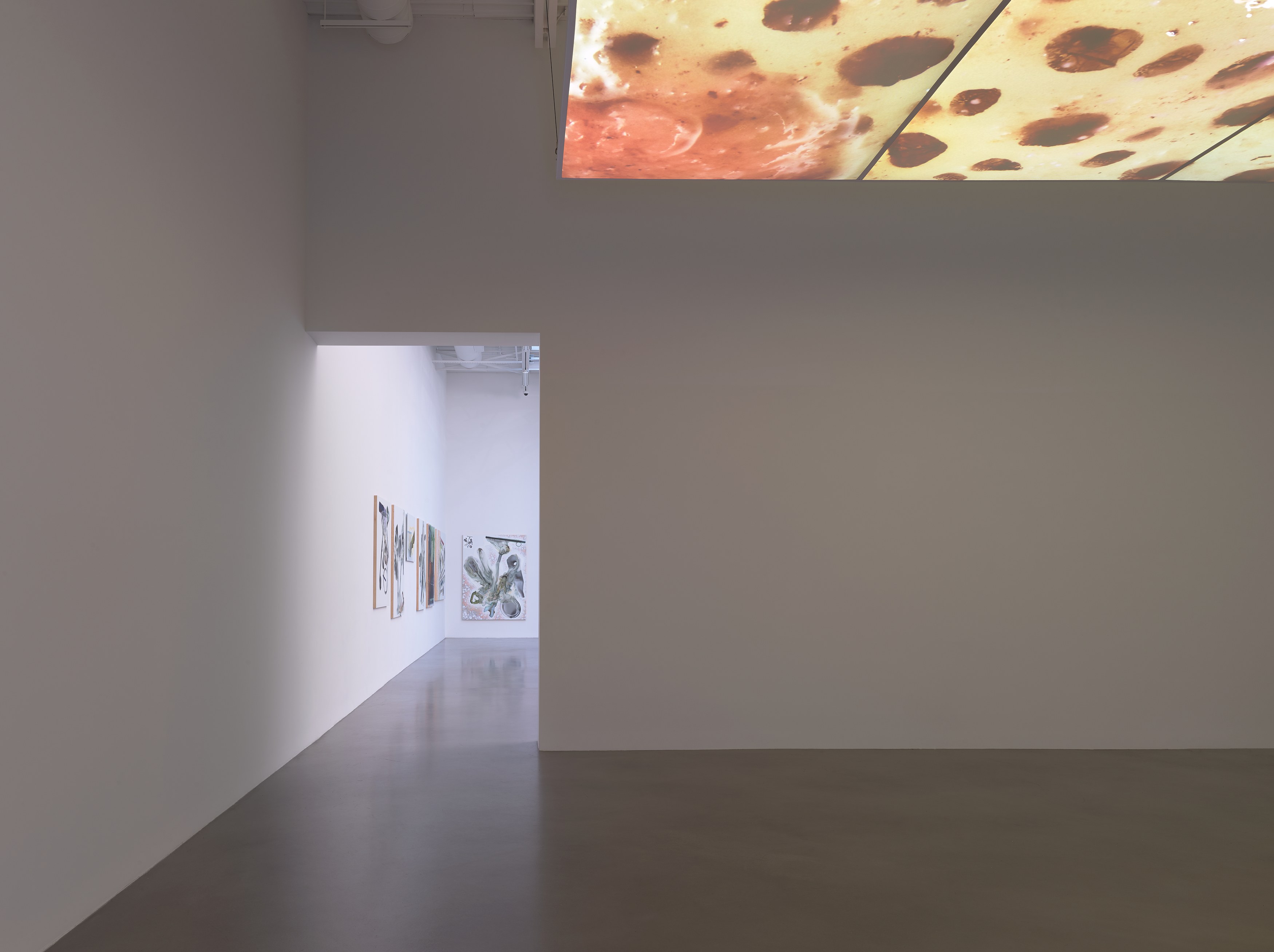 Seth Price, Hell Has Everything at Petzel, photo 9