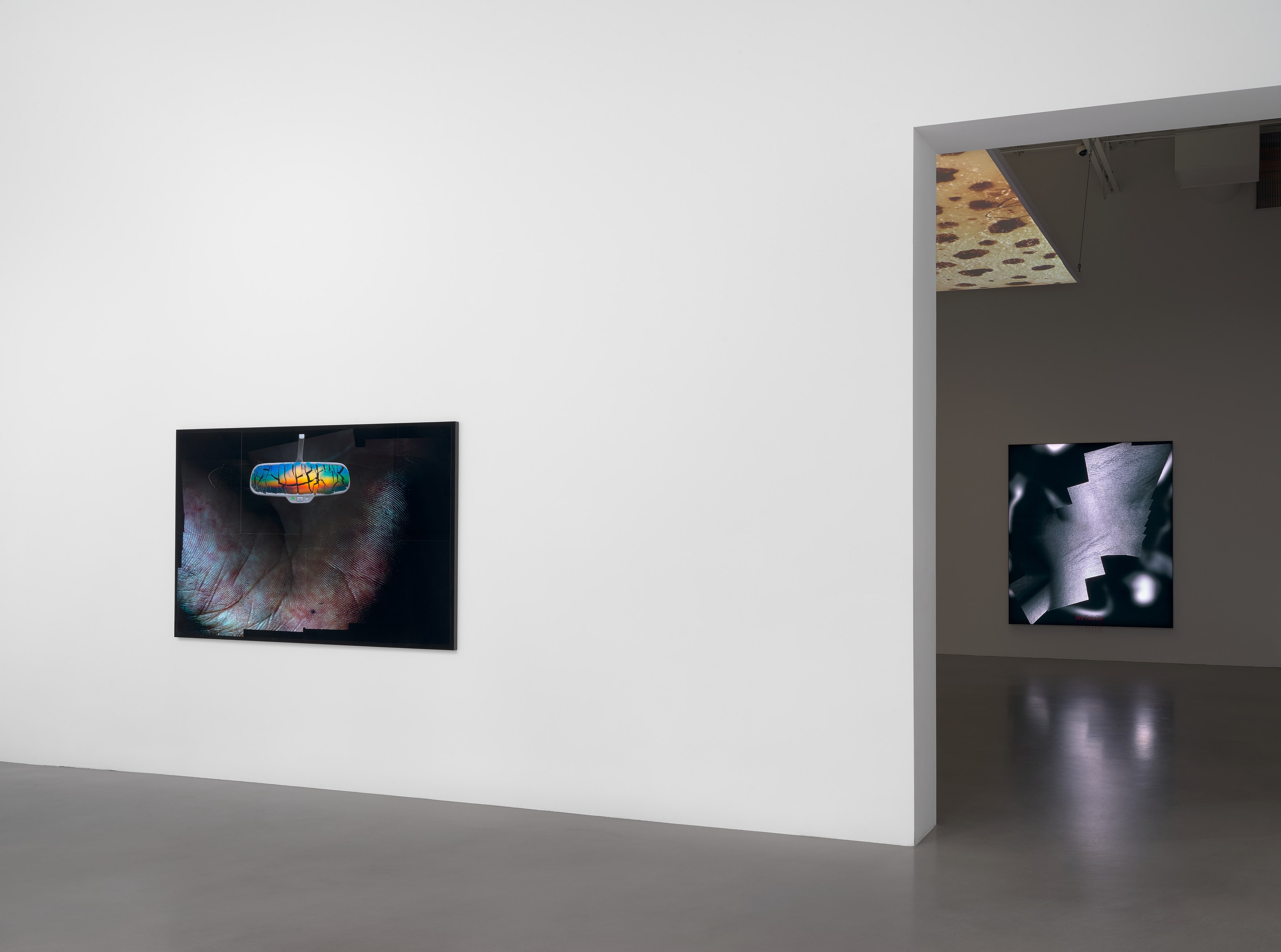 Seth Price, Hell Has Everything at Petzel, photo 14