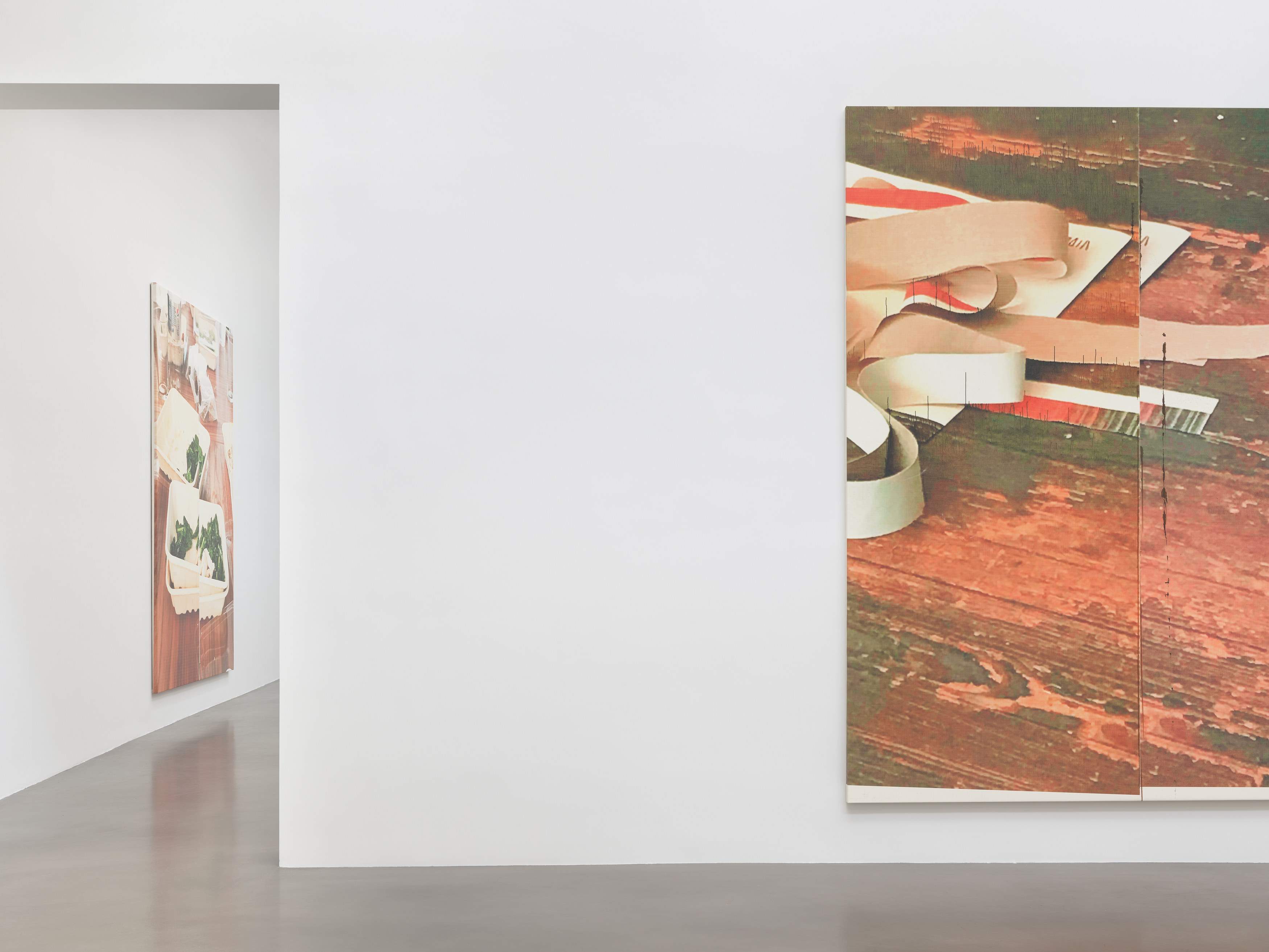Wade Guyton, Patagonia at Petzel, photo 11