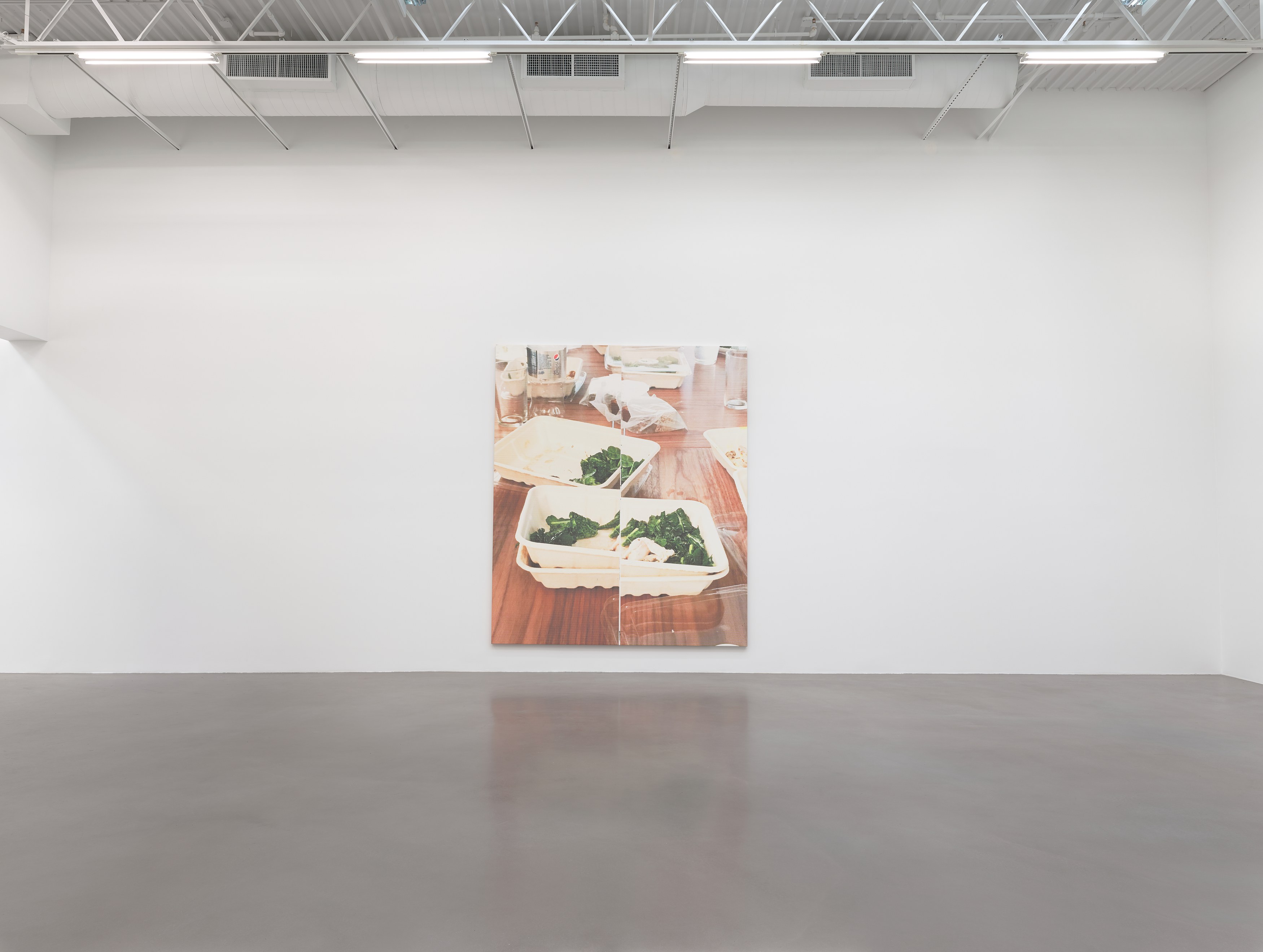 Wade Guyton, Patagonia at Petzel, photo 15