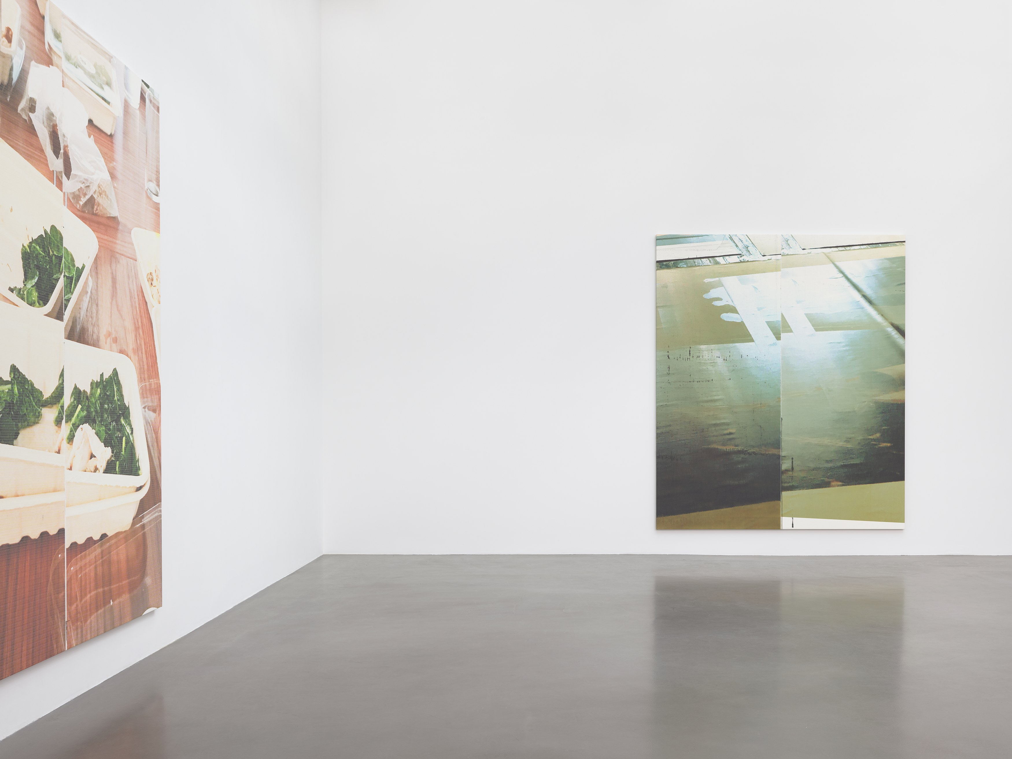 Wade Guyton, Patagonia at Petzel, photo 16