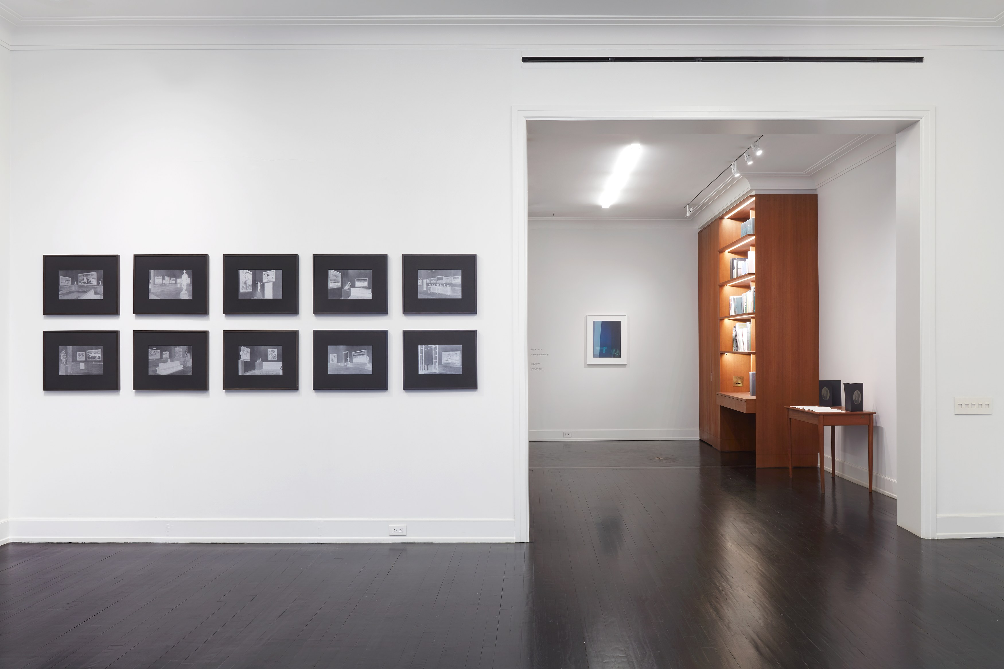 Troy Brauntuch, A Strange New Beauty at Petzel, photo 5