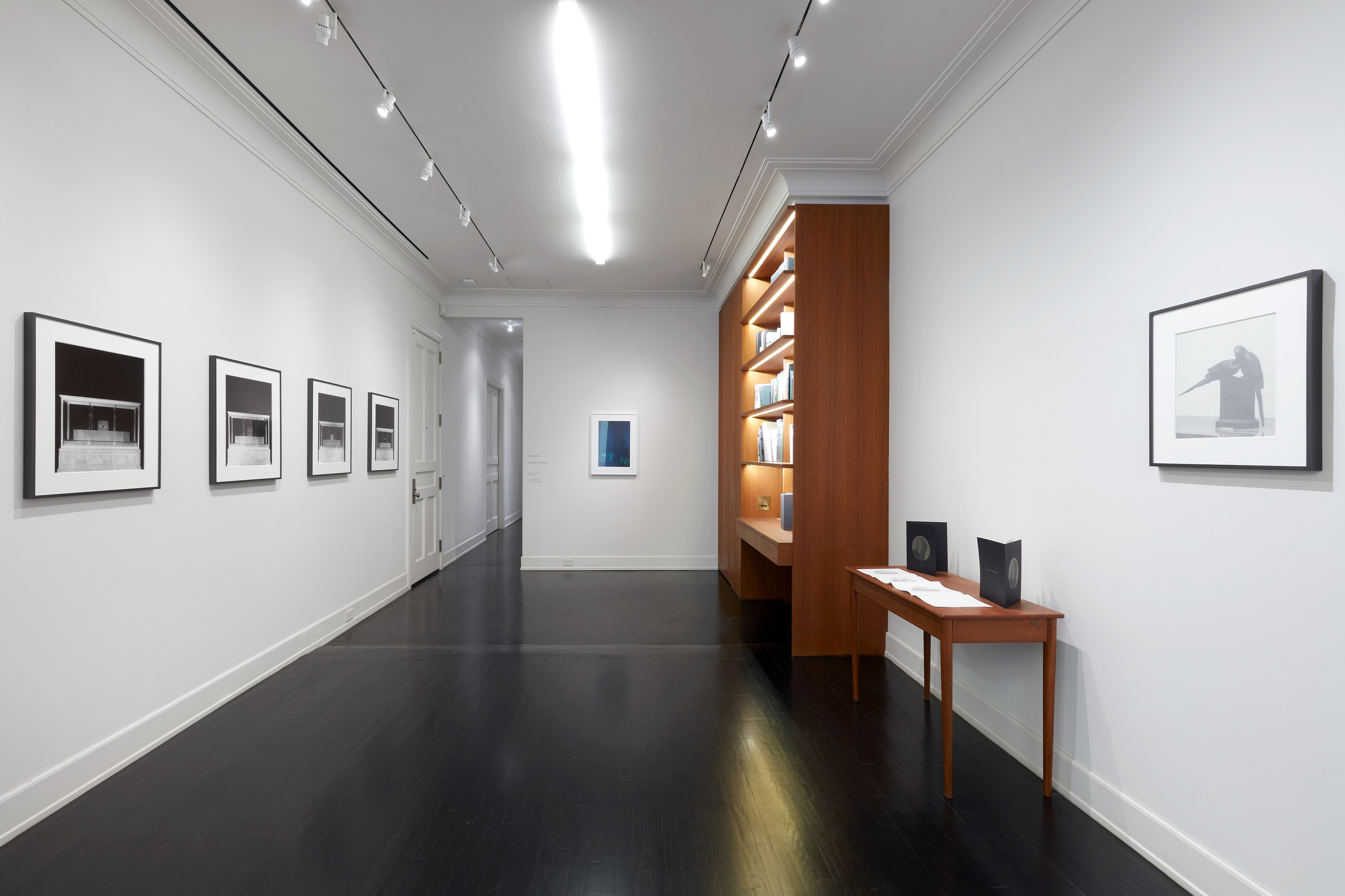 Troy Brauntuch, A Strange New Beauty at Petzel, photo 6