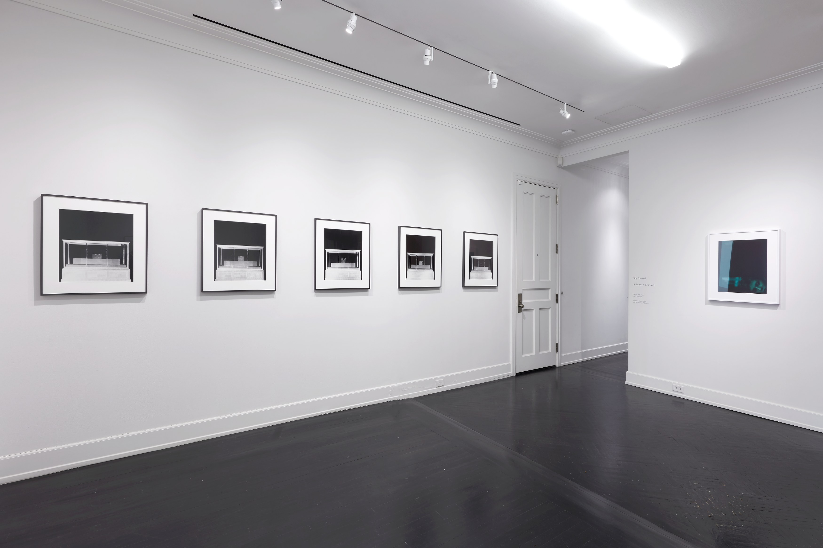 Troy Brauntuch, A Strange New Beauty at Petzel, photo 7