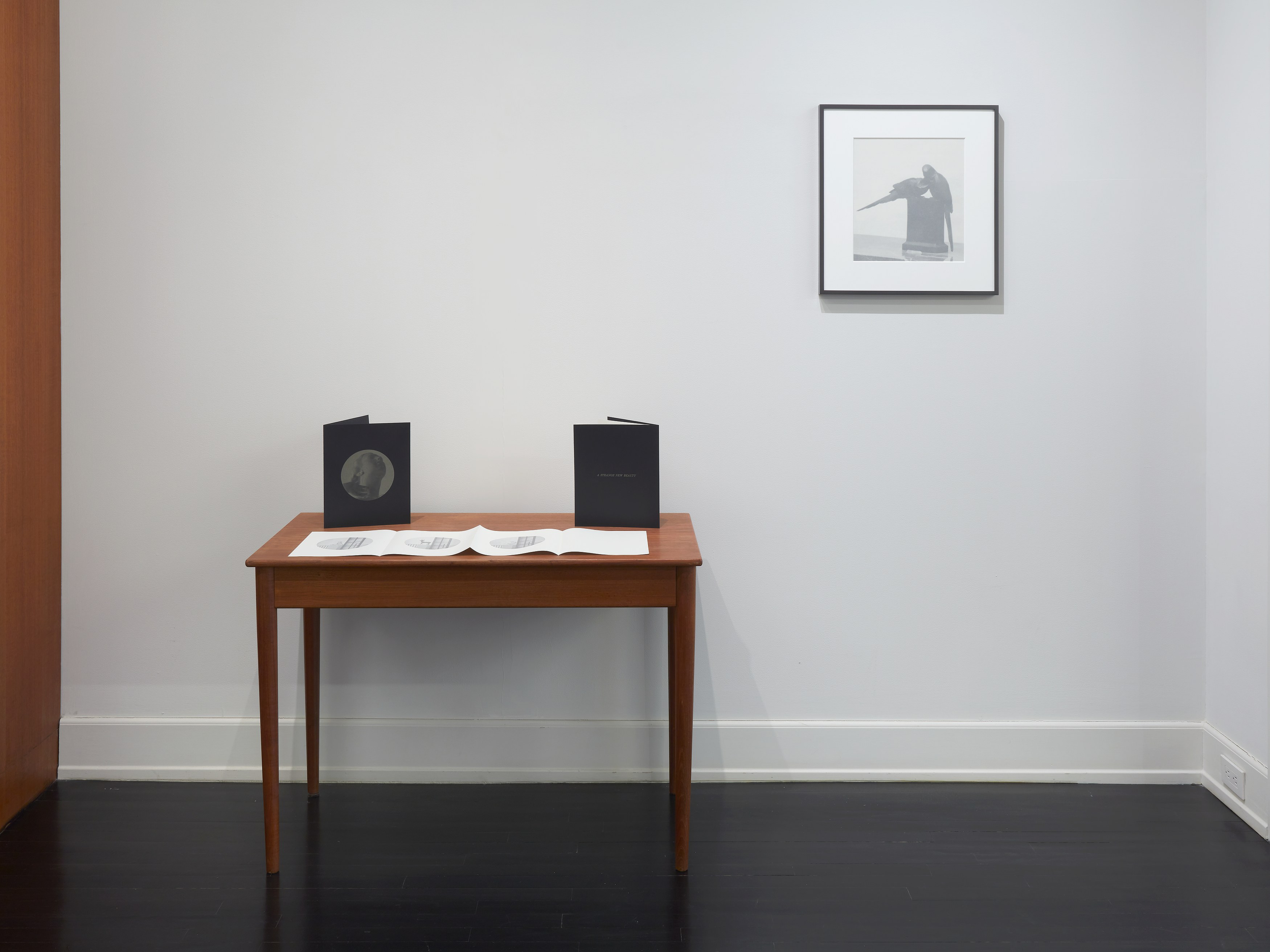 Troy Brauntuch, A Strange New Beauty at Petzel, photo 8