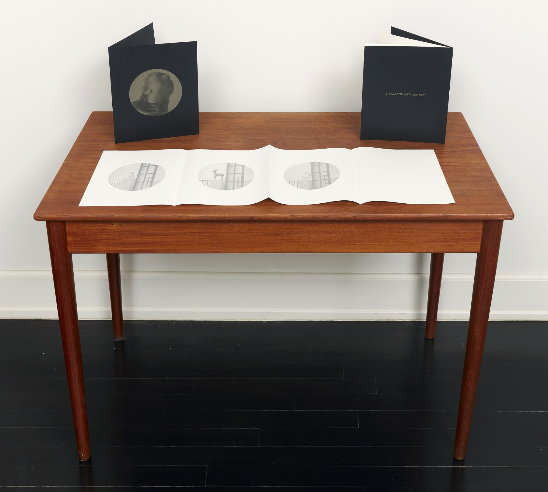 Troy Brauntuch, A Strange New Beauty at Petzel, photo 9