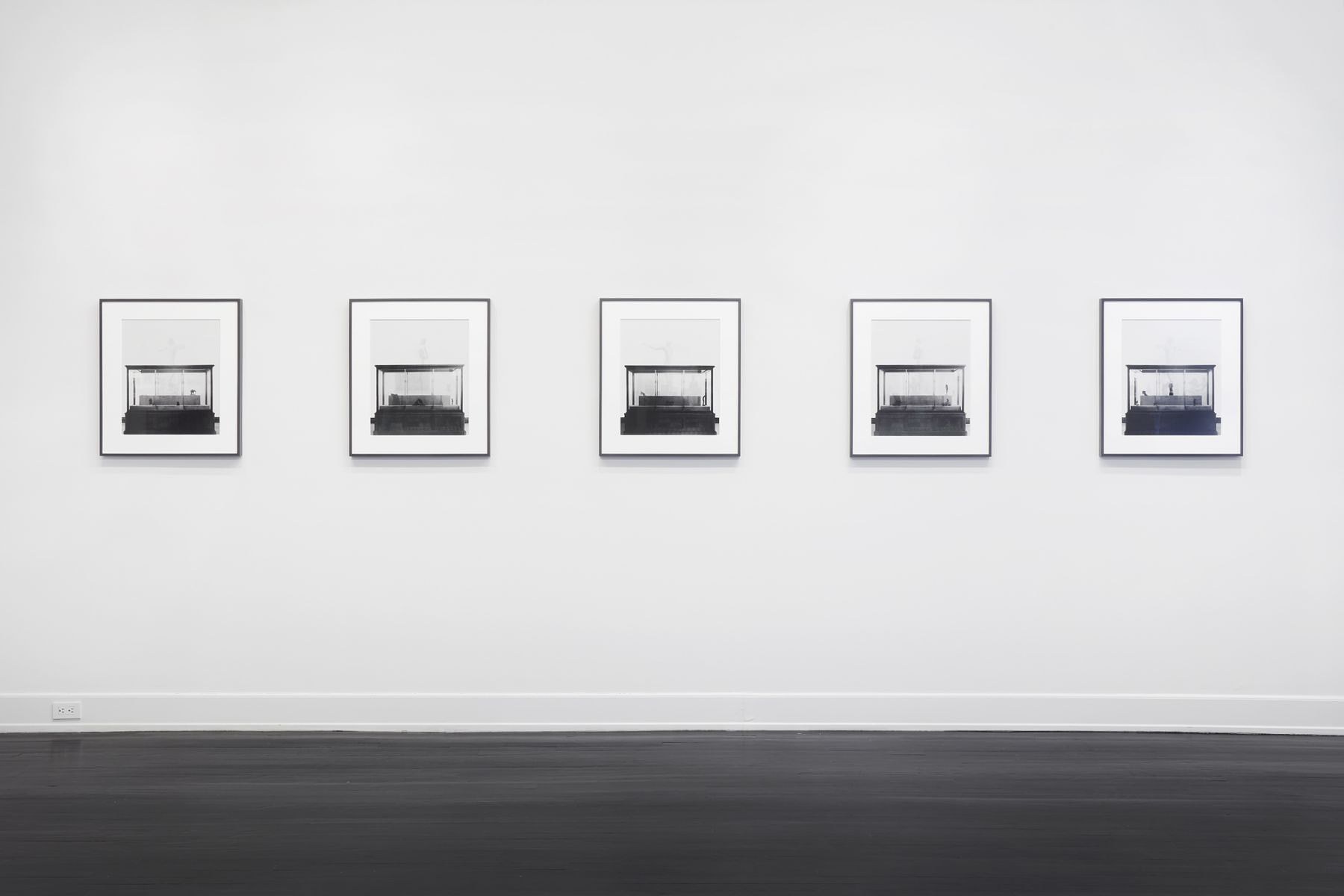 Troy Brauntuch, A Strange New Beauty at Petzel, photo 15