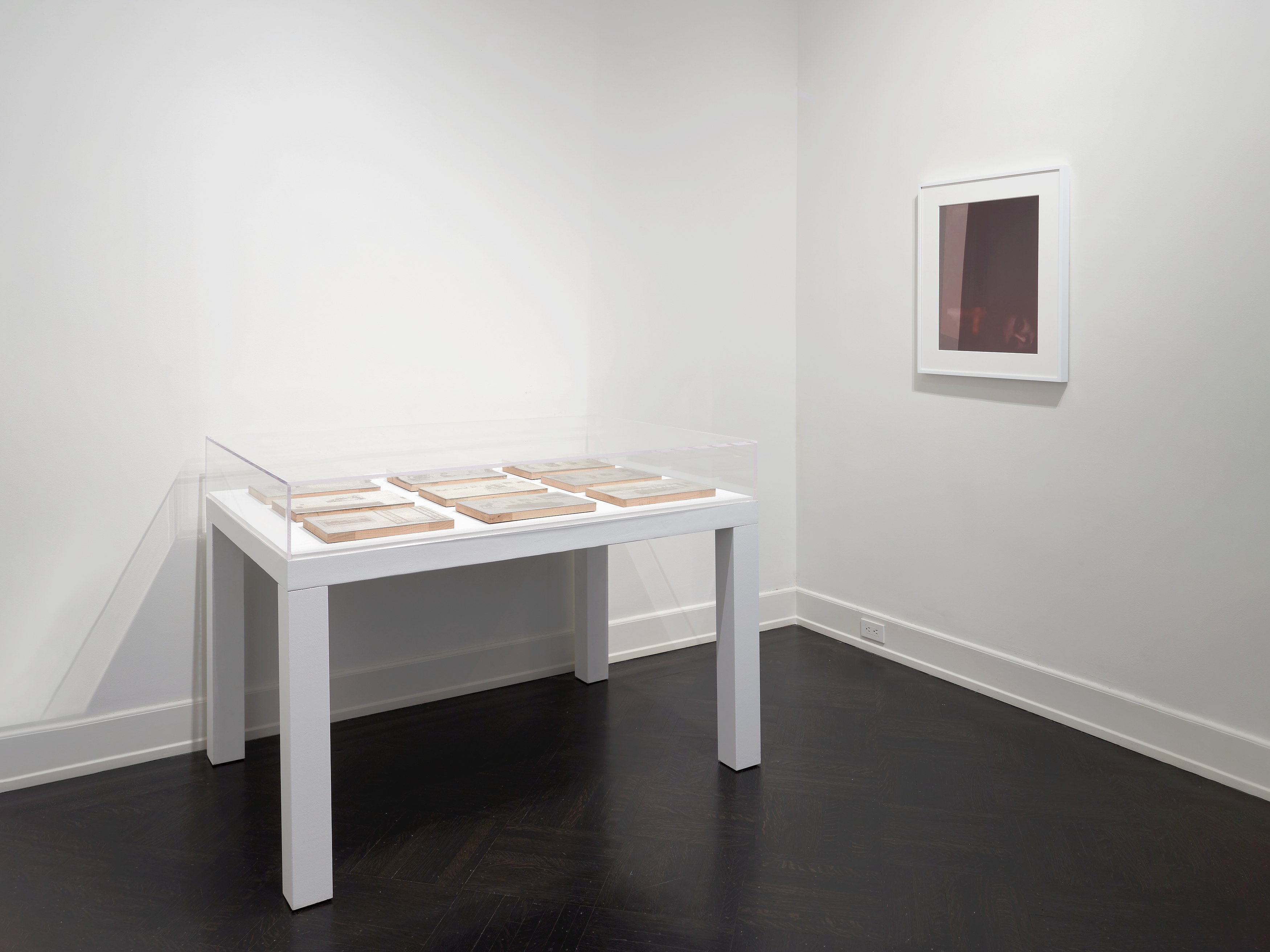 Troy Brauntuch, A Strange New Beauty at Petzel, photo 11