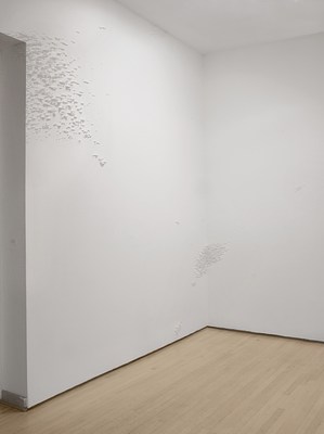 Image 4 of 13