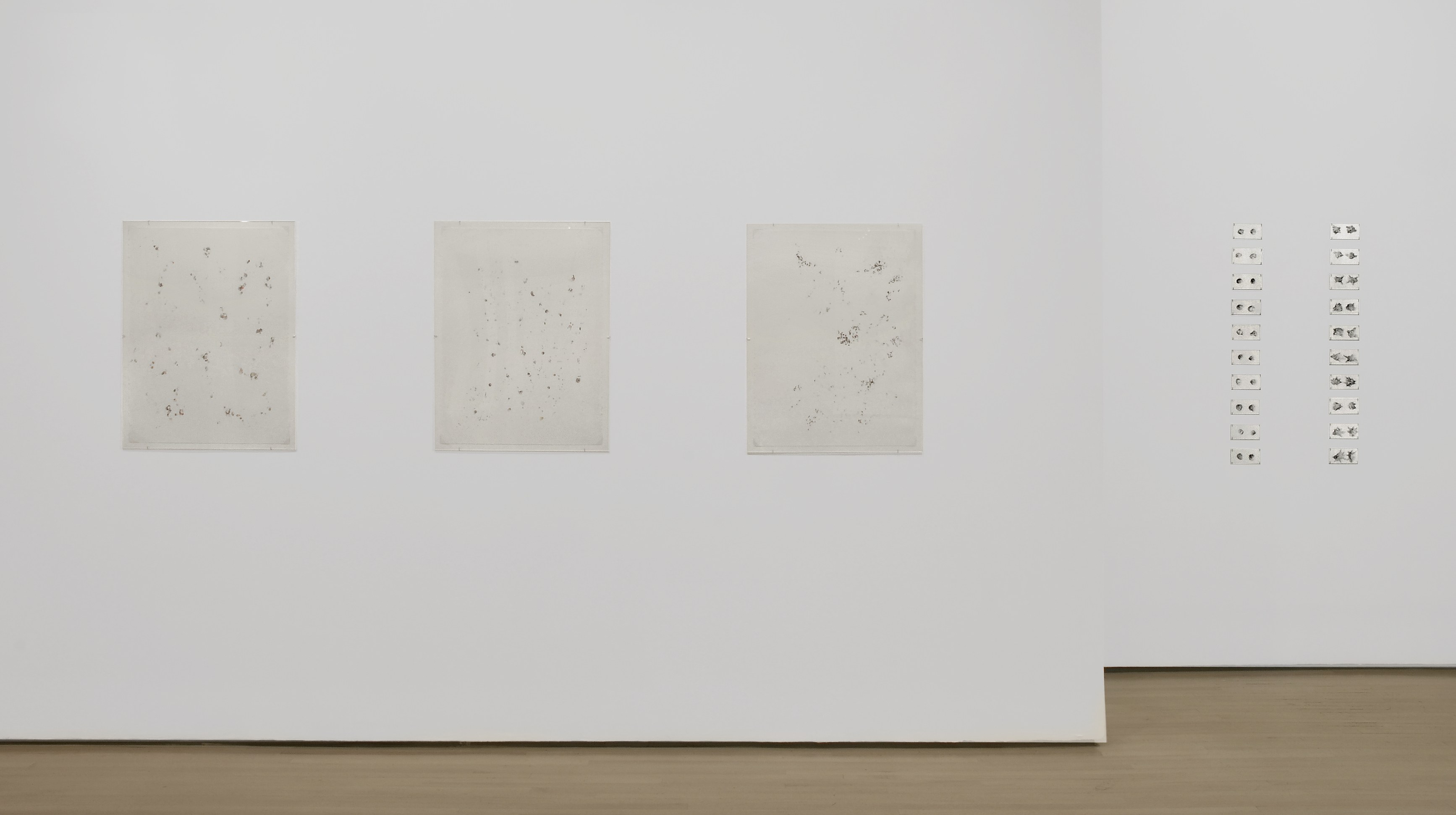 Anne Daems, Irene Kopelman, Jiha Moon, Levity: Selections Spring 2007 at The Drawing Center, photo 12