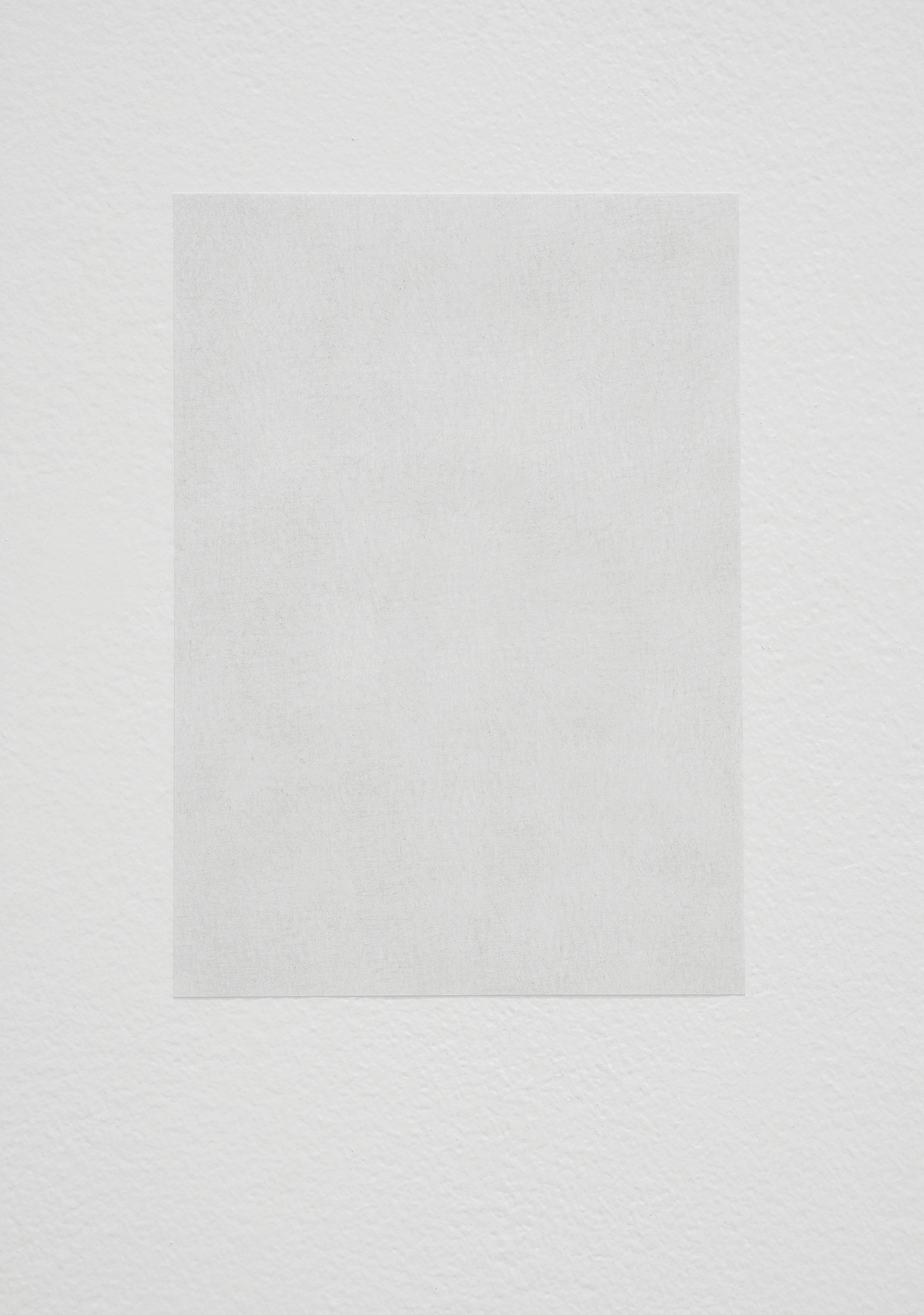 Anne Daems, Irene Kopelman, Jiha Moon, Levity: Selections Spring 2007 at The Drawing Center, photo 11