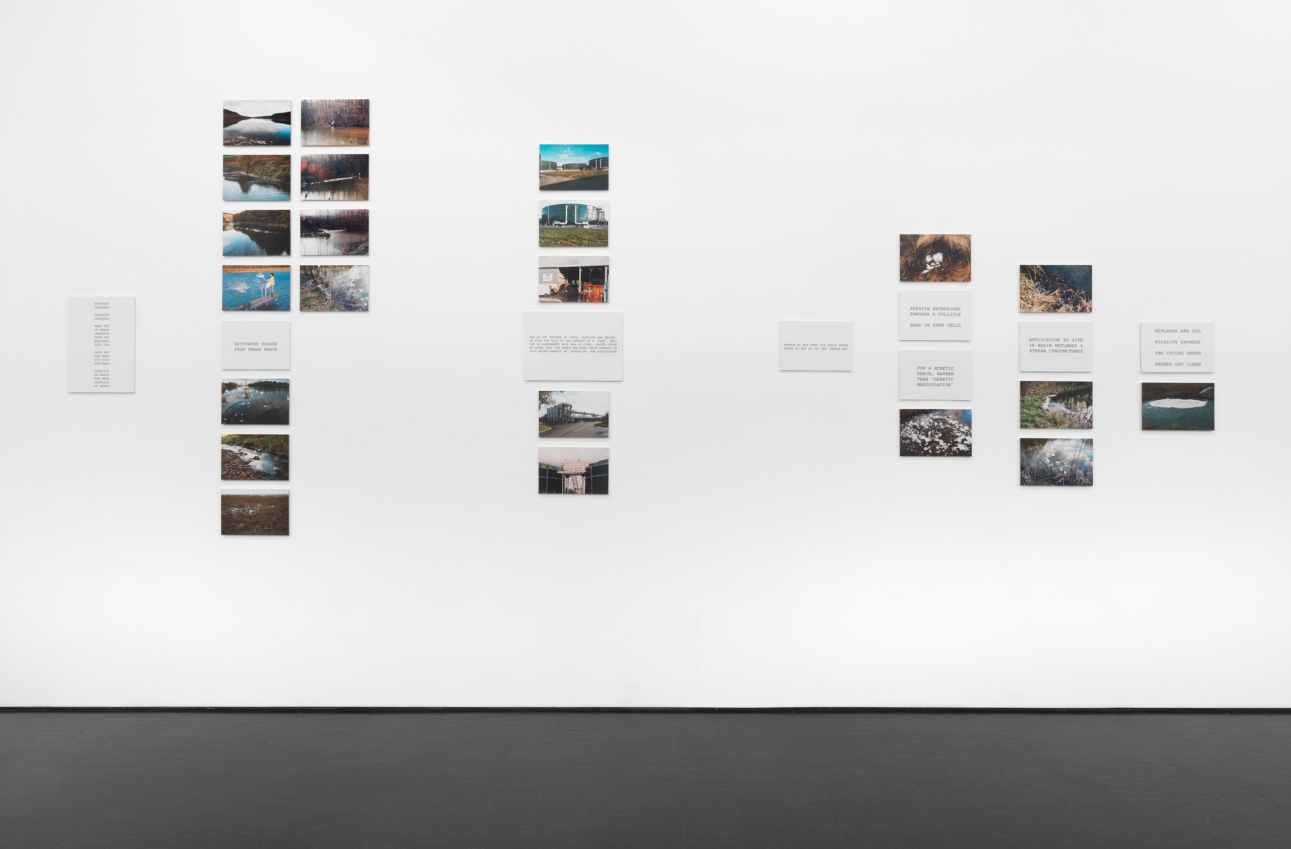 Peter Fend, <div><span style="font-family: courier, monospace; font-style: normal;">BIRDS<br>REIGN</span></div> at Trautwein Herleth, photo 6