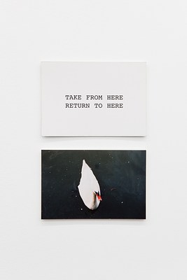 Image 8 of 21