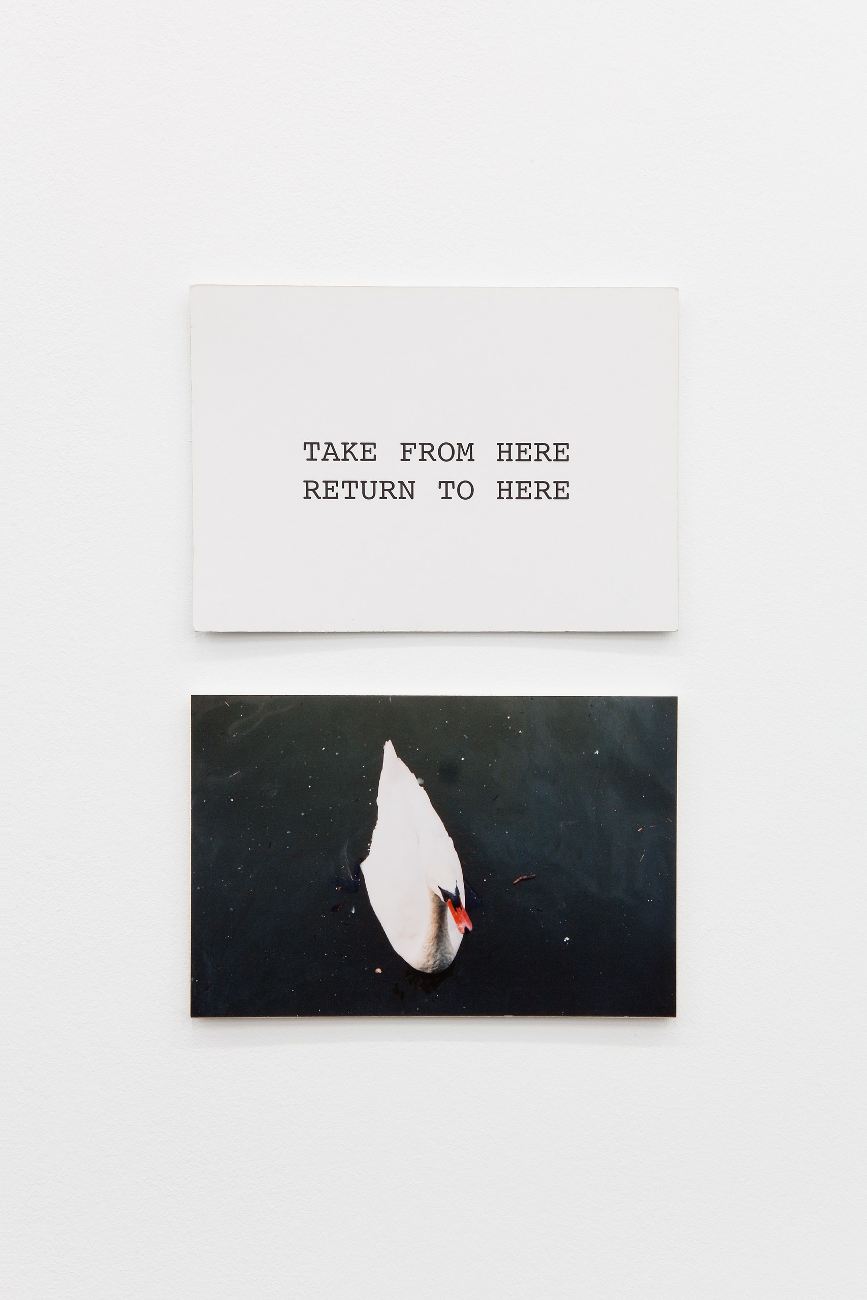 Peter Fend, <div><span style="font-family: courier, monospace; font-style: normal;">BIRDS<br>REIGN</span></div> at Trautwein Herleth, photo 8