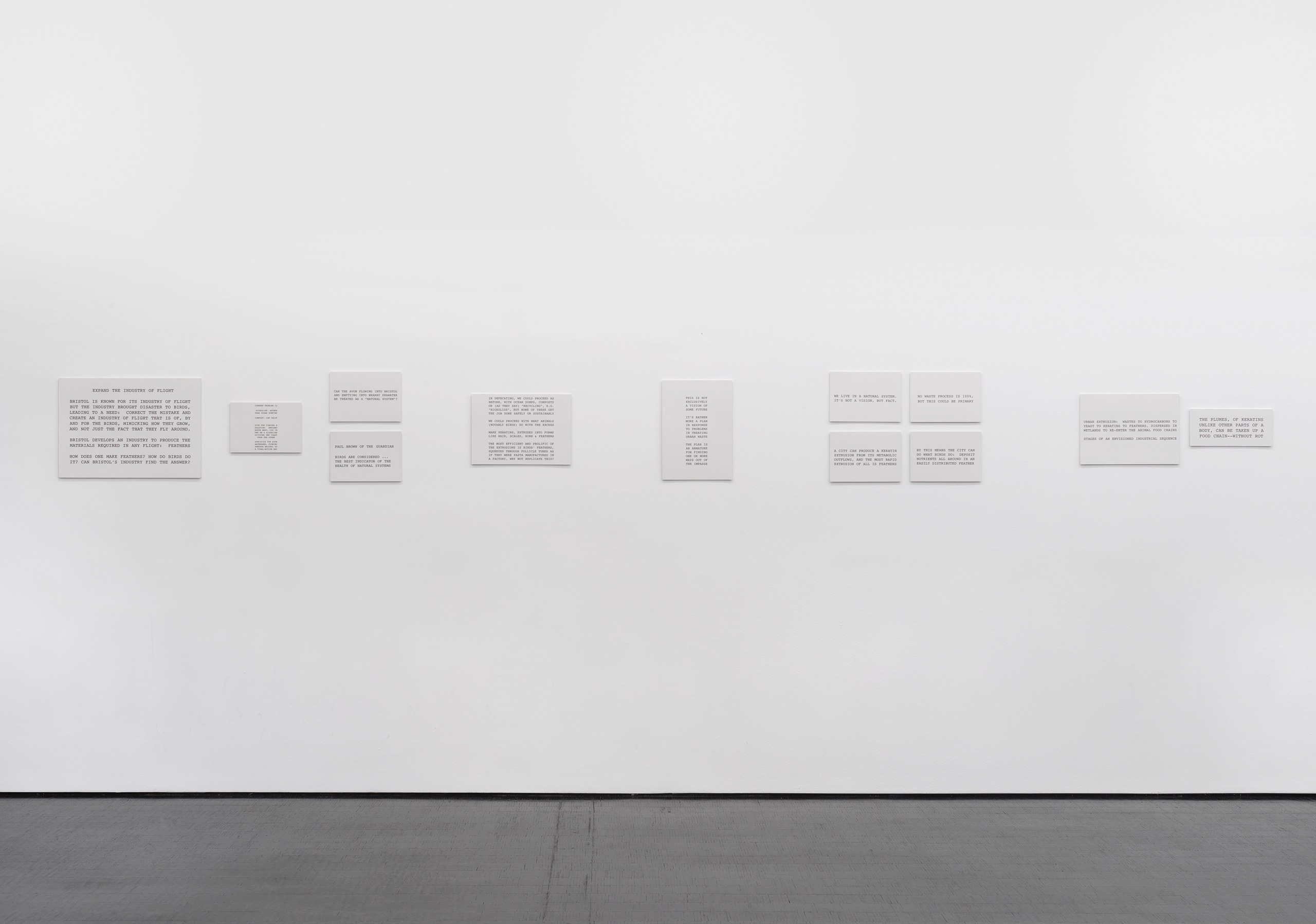 Peter Fend, <div><span style="font-family: courier, monospace; font-style: normal;">BIRDS<br>REIGN</span></div> at Trautwein Herleth, photo 12