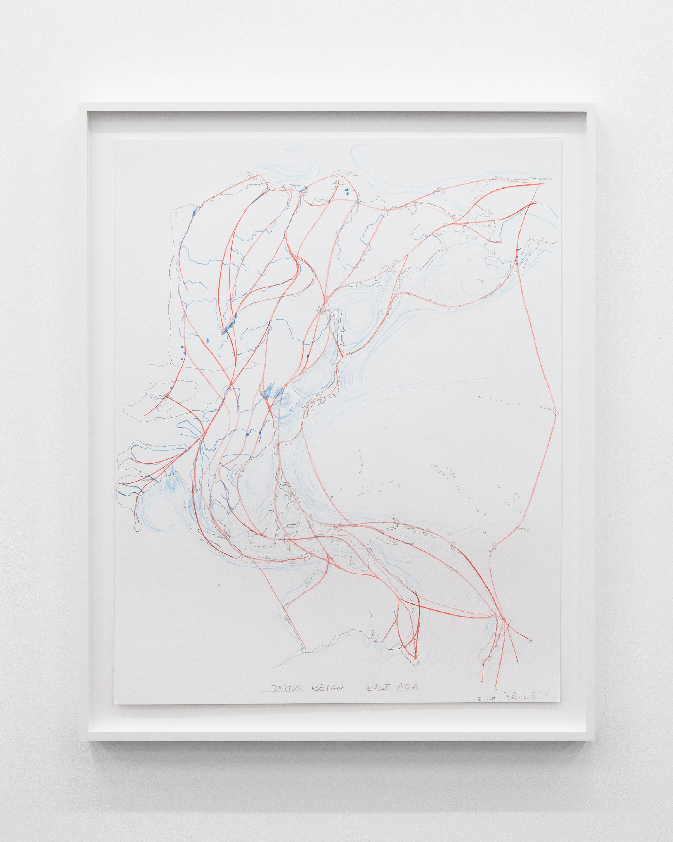 Peter Fend, <div><span style="font-family: courier, monospace; font-style: normal;">BIRDS<br>REIGN</span></div> at Trautwein Herleth, photo 16