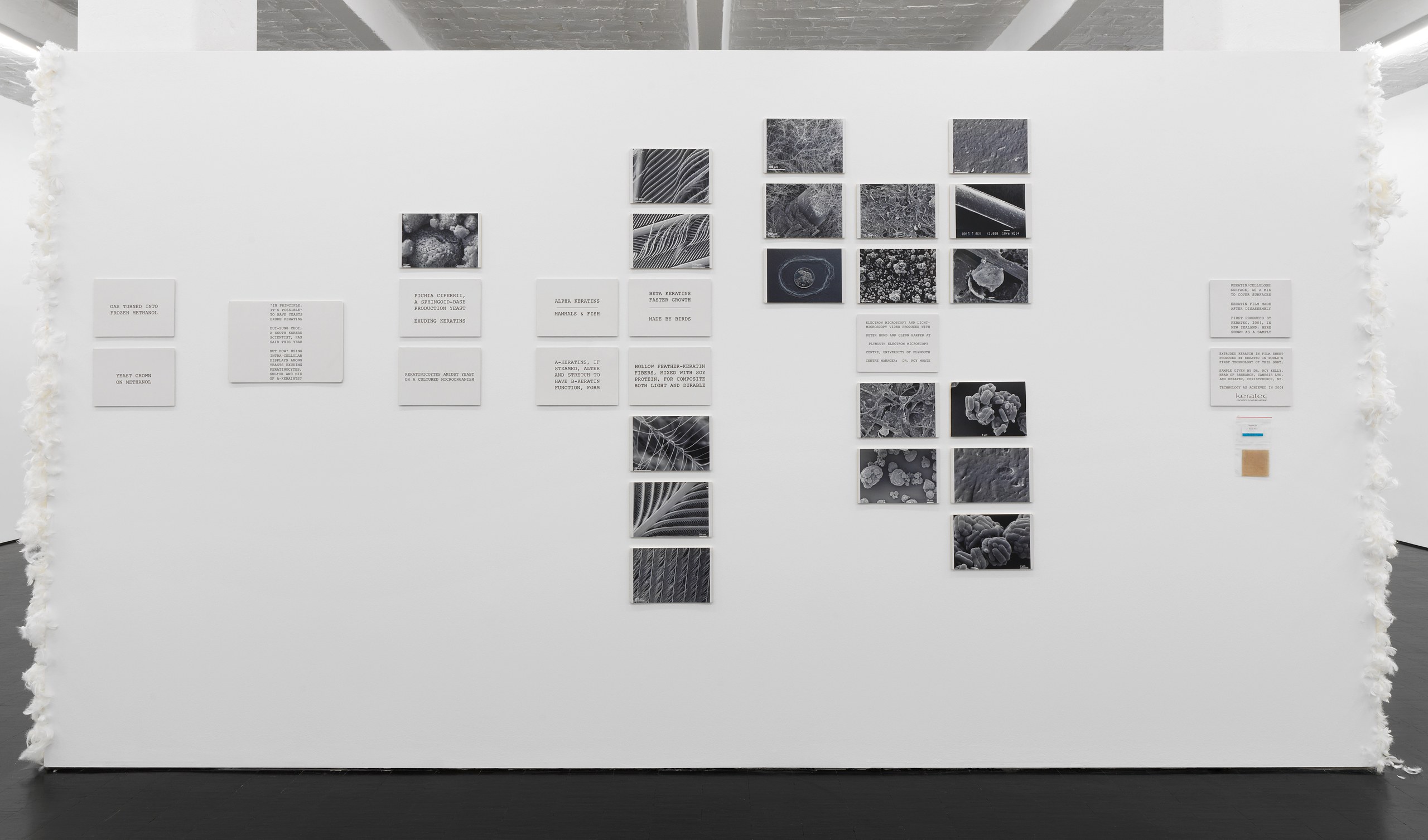Peter Fend, <div><span style="font-family: courier, monospace; font-style: normal;">BIRDS<br>REIGN</span></div> at Trautwein Herleth, photo 20