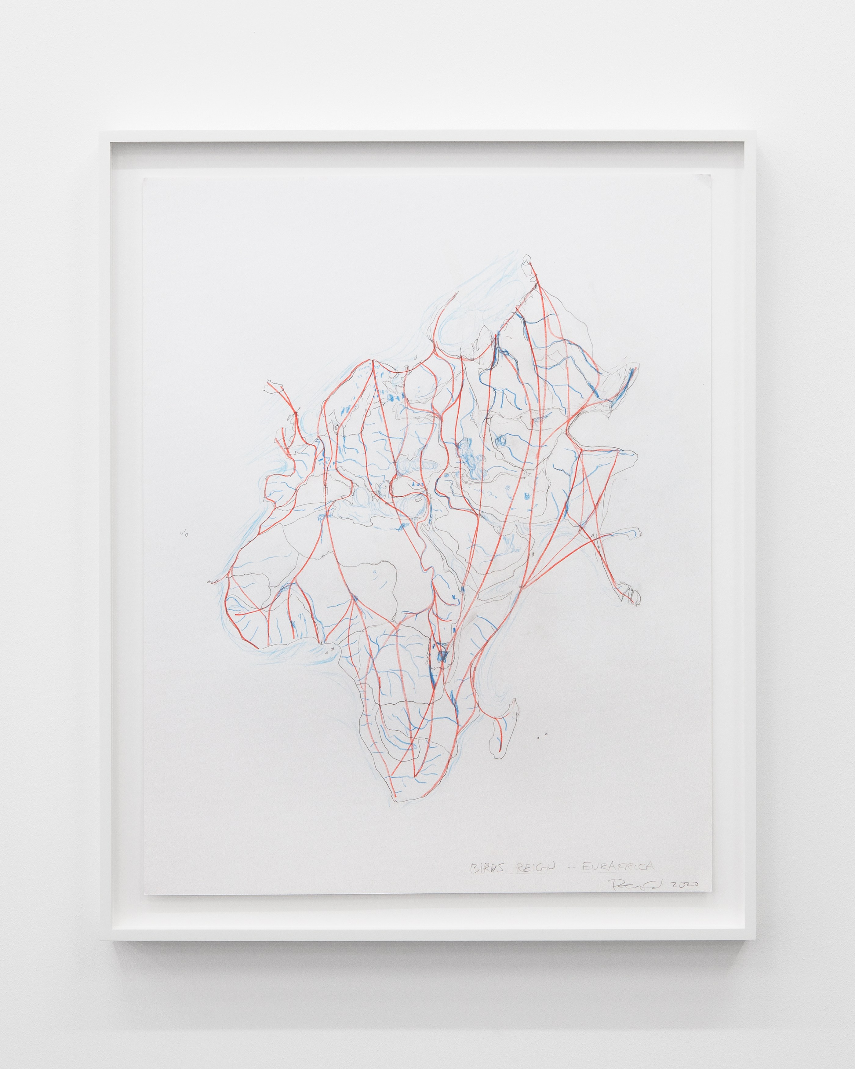 Peter Fend, <div><span style="font-family: courier, monospace; font-style: normal;">BIRDS<br>REIGN</span></div> at Trautwein Herleth, photo 18