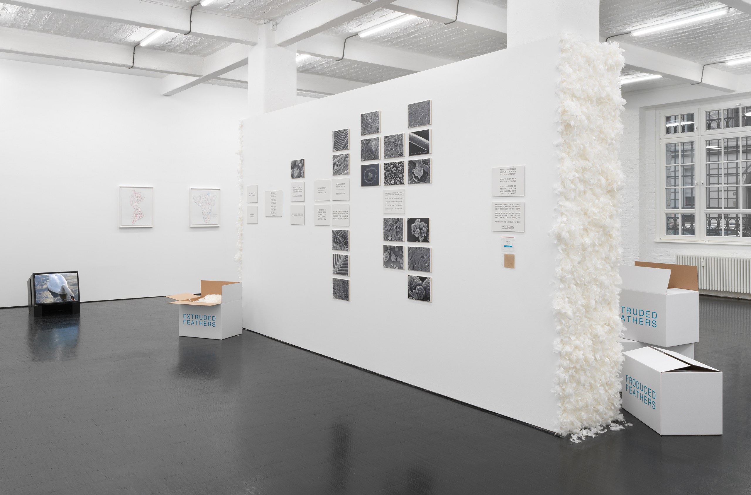 Peter Fend, <div><span style="font-family: courier, monospace; font-style: normal;">BIRDS<br>REIGN</span></div> at Trautwein Herleth, photo 21