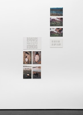 Image 10 of 21