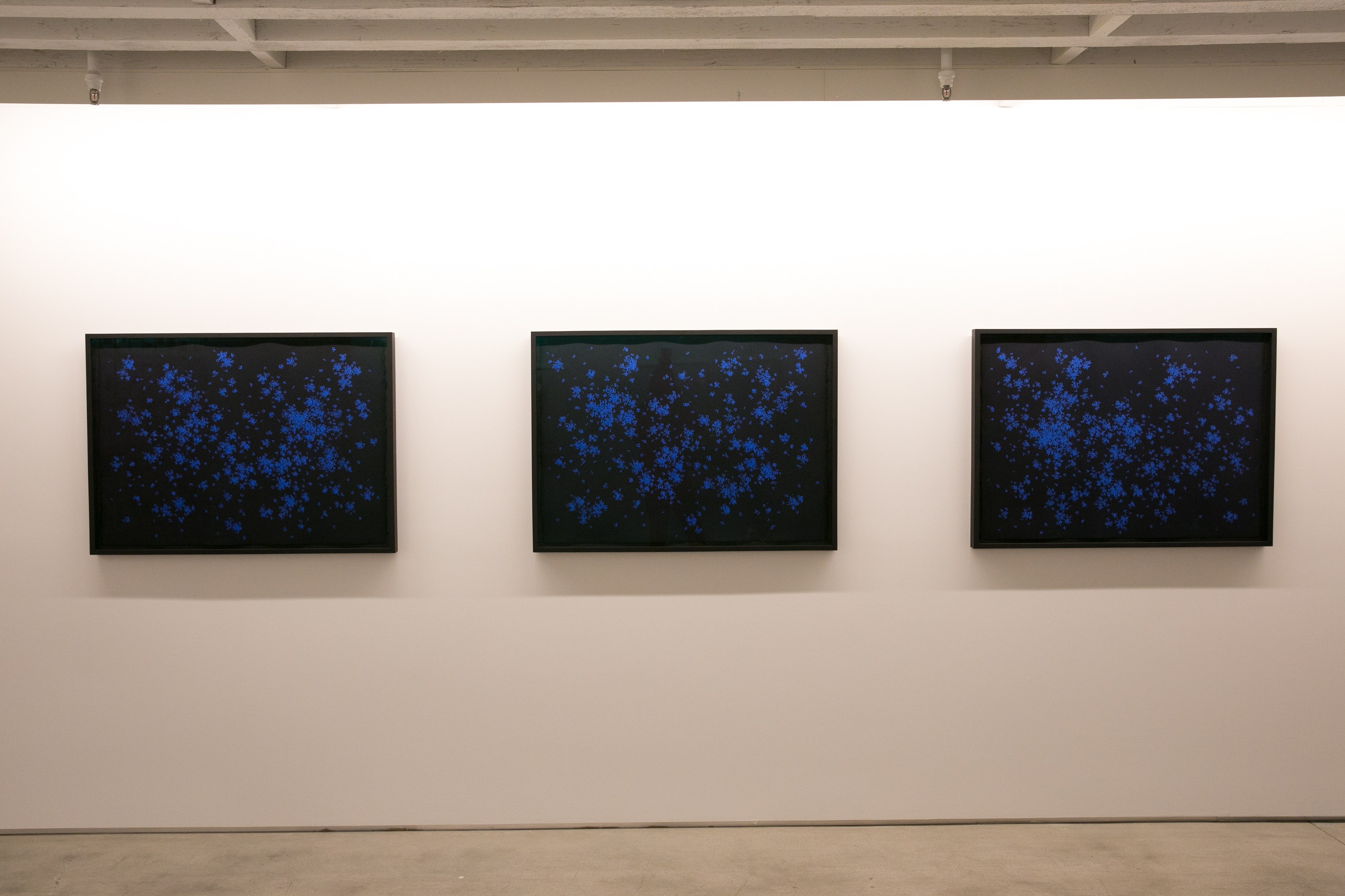 Prix Canson 2016, Prix Canson 2016 at The Drawing Center, photo 44