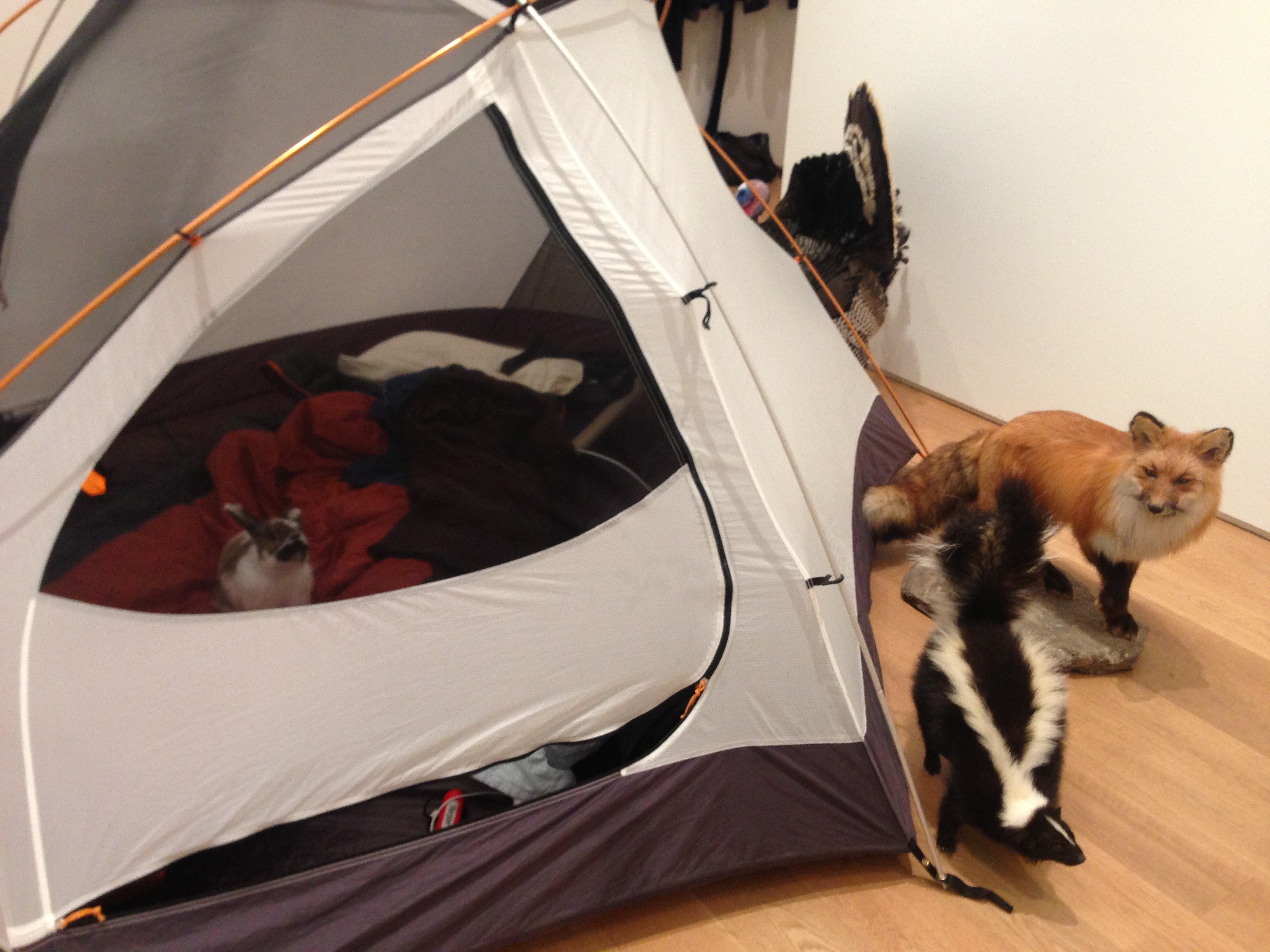 Andrea Bowers, Suzanne Lacy, Andrea Bowers and Suzanne Lacy: Drawing Lessons at The Drawing Center, photo 78