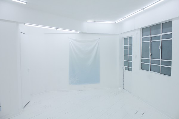 Image 2 of 11