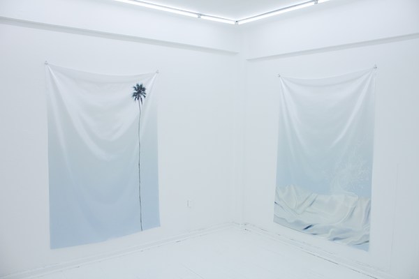 Image 4 of 11