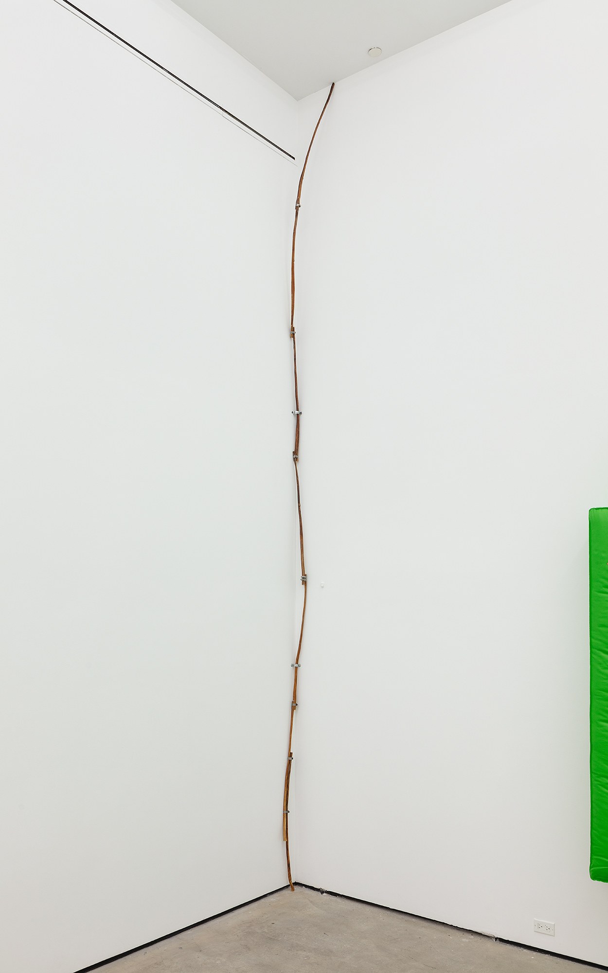SoiL Thornton, Does productivity know what it’s named, maybe it calls itself identity? at Maxwell Graham, photo 22