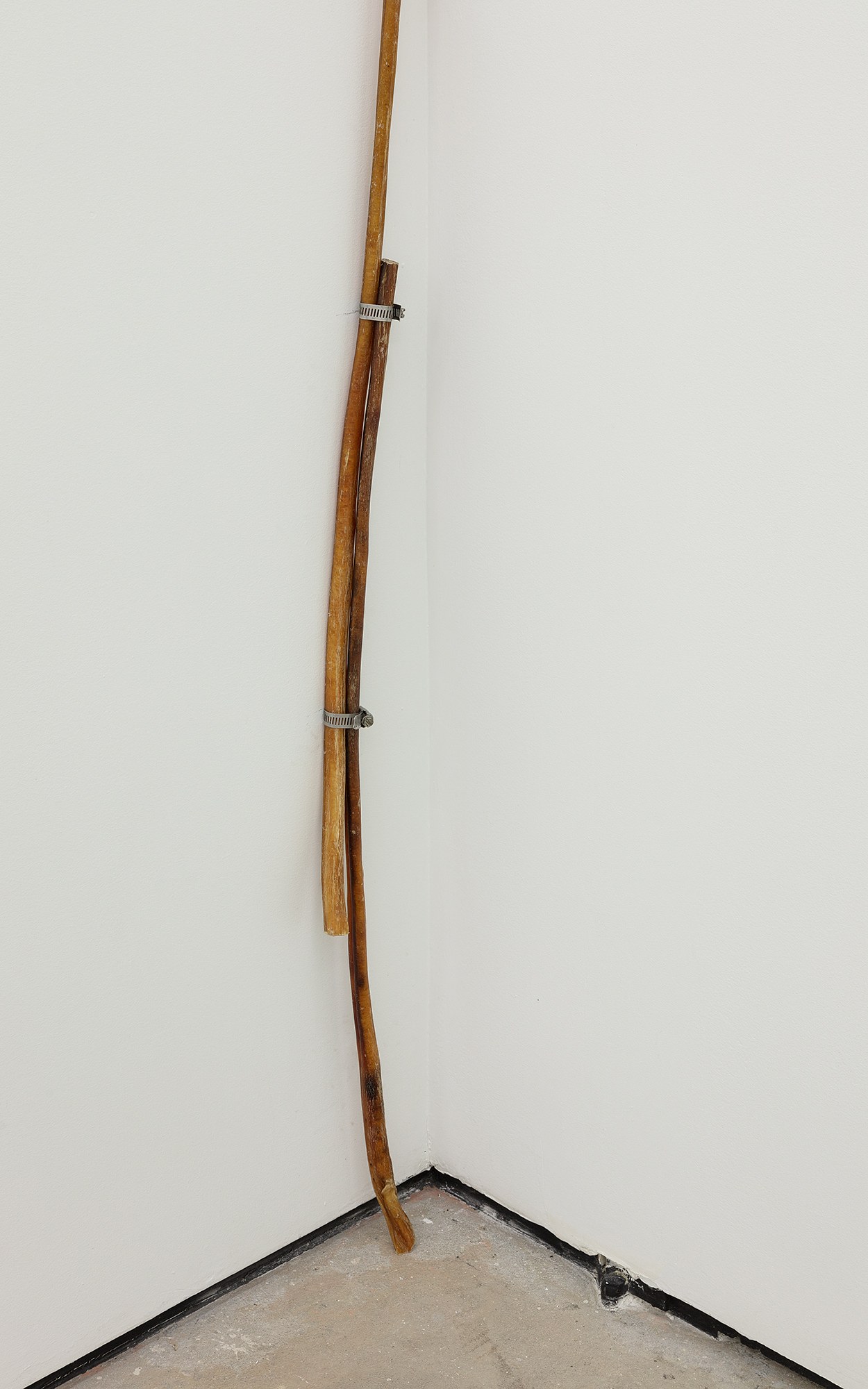 SoiL Thornton, Does productivity know what it’s named, maybe it calls itself identity? at Maxwell Graham, photo 23