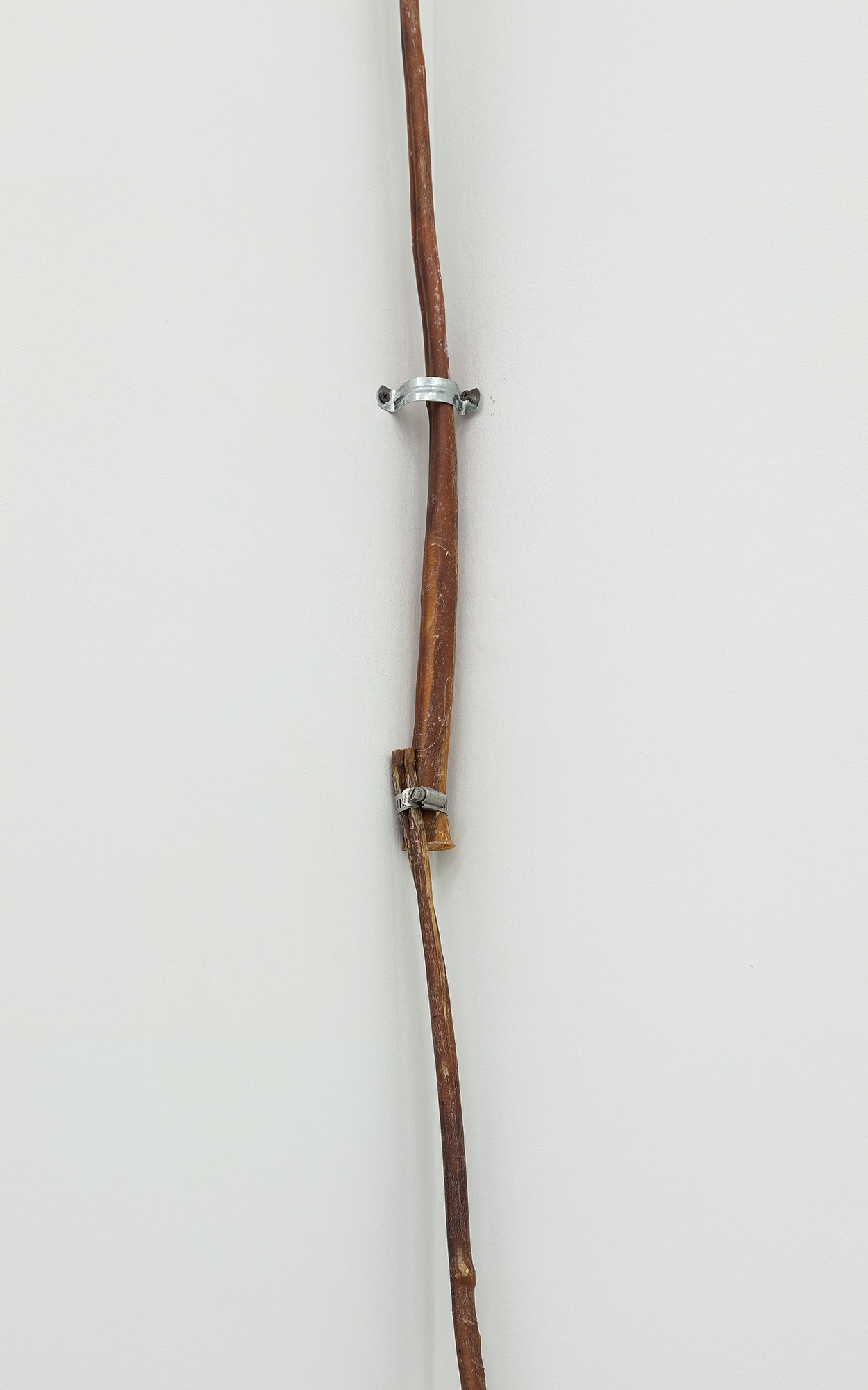 SoiL Thornton, Does productivity know what it’s named, maybe it calls itself identity? at Maxwell Graham, photo 25