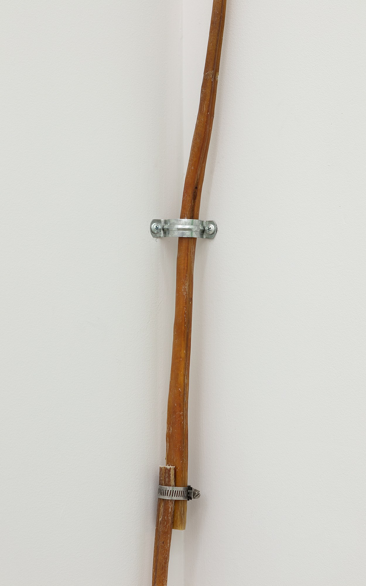 SoiL Thornton, Does productivity know what it’s named, maybe it calls itself identity? at Maxwell Graham, photo 24