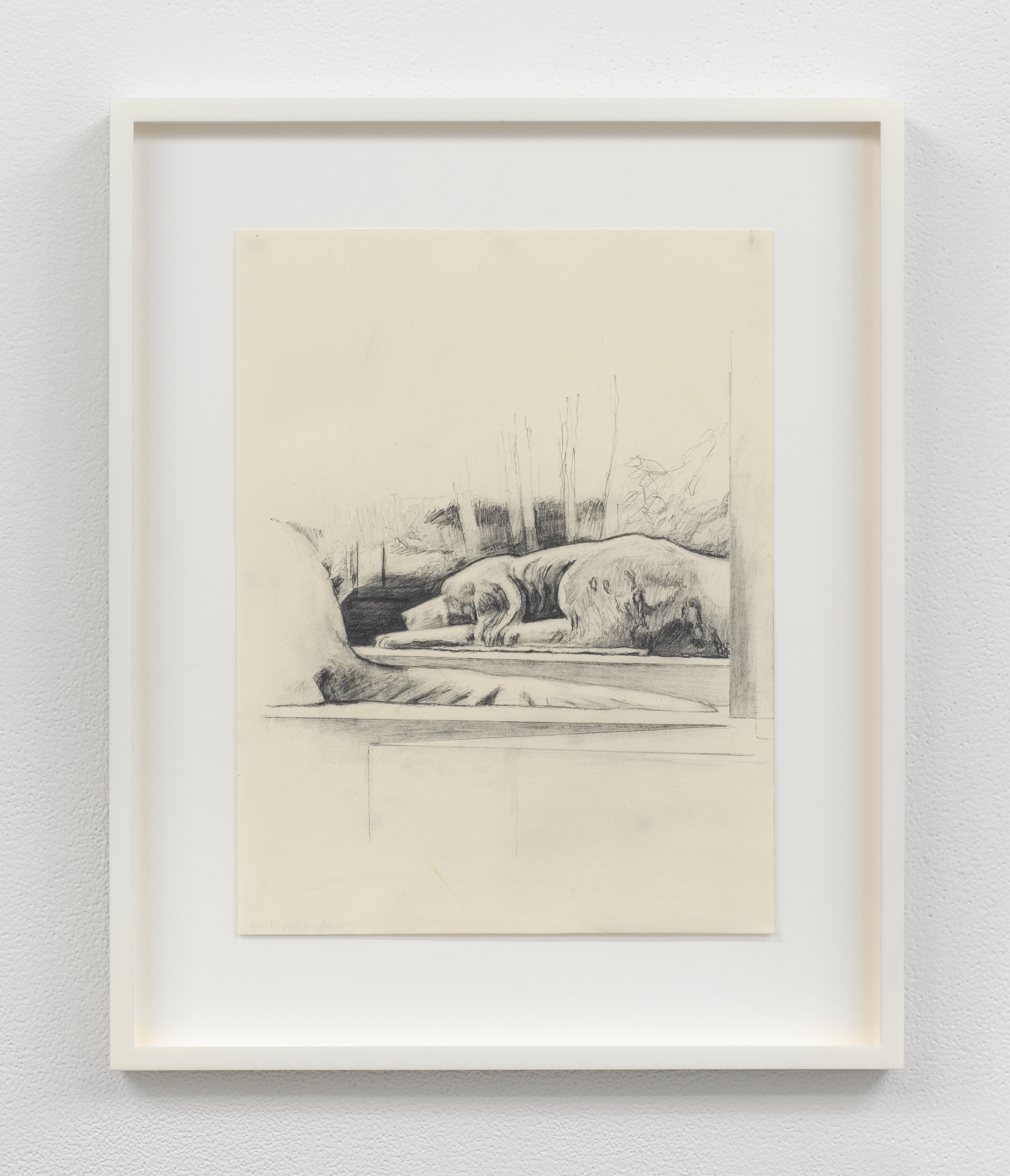 Installation view 6