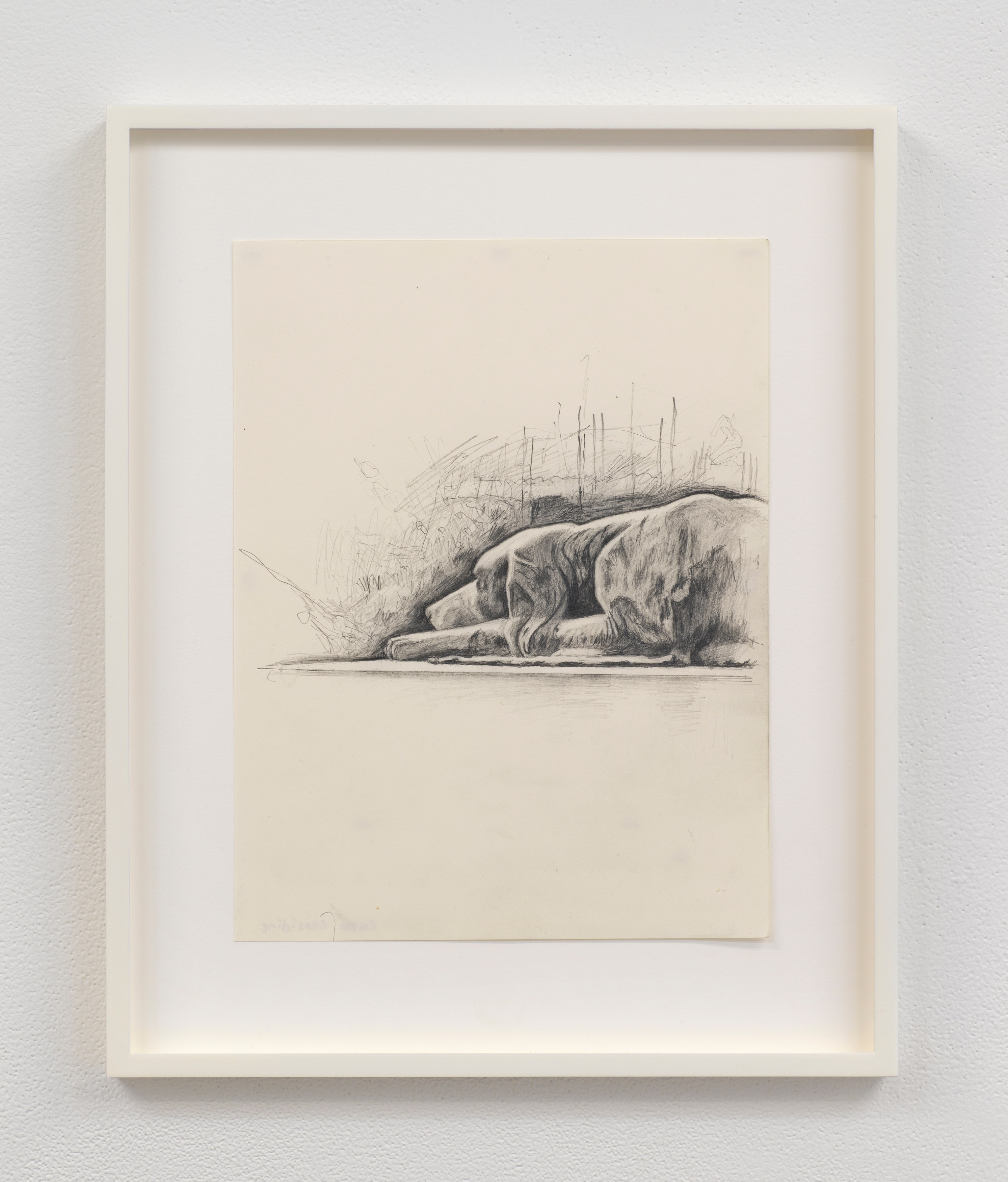 Installation view 5