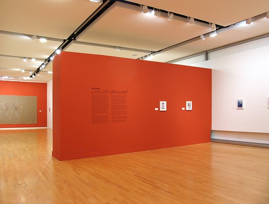 Image 7 of 81