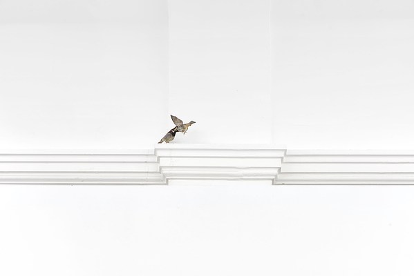 Image 7 of 18